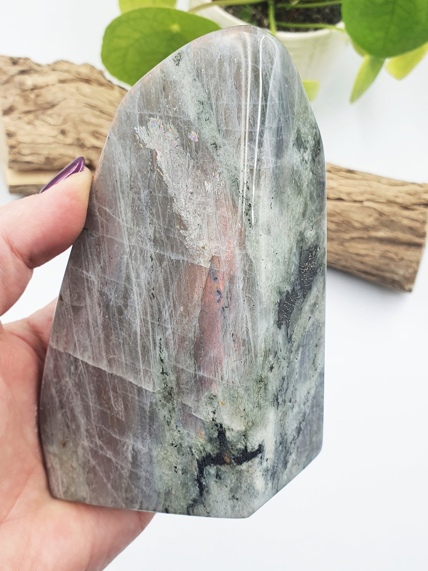 Pink Labradorite Freeform