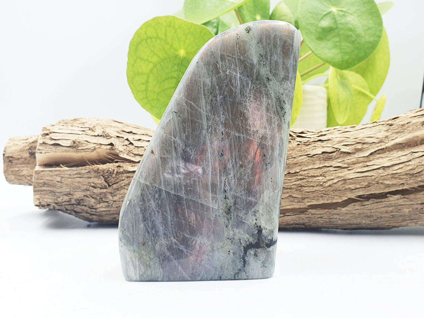 Pink Labradorite Freeform