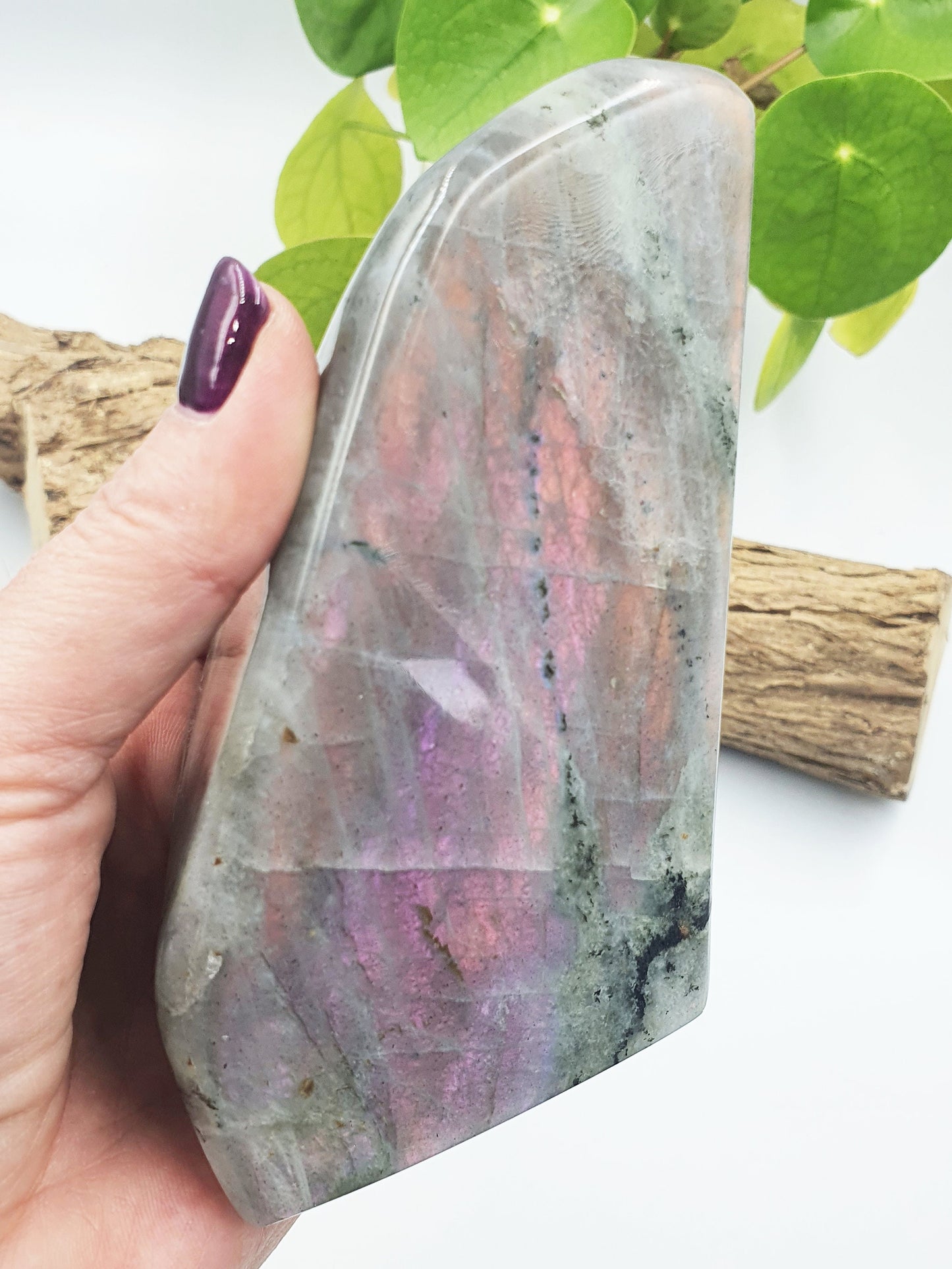 Pink Labradorite Freeform