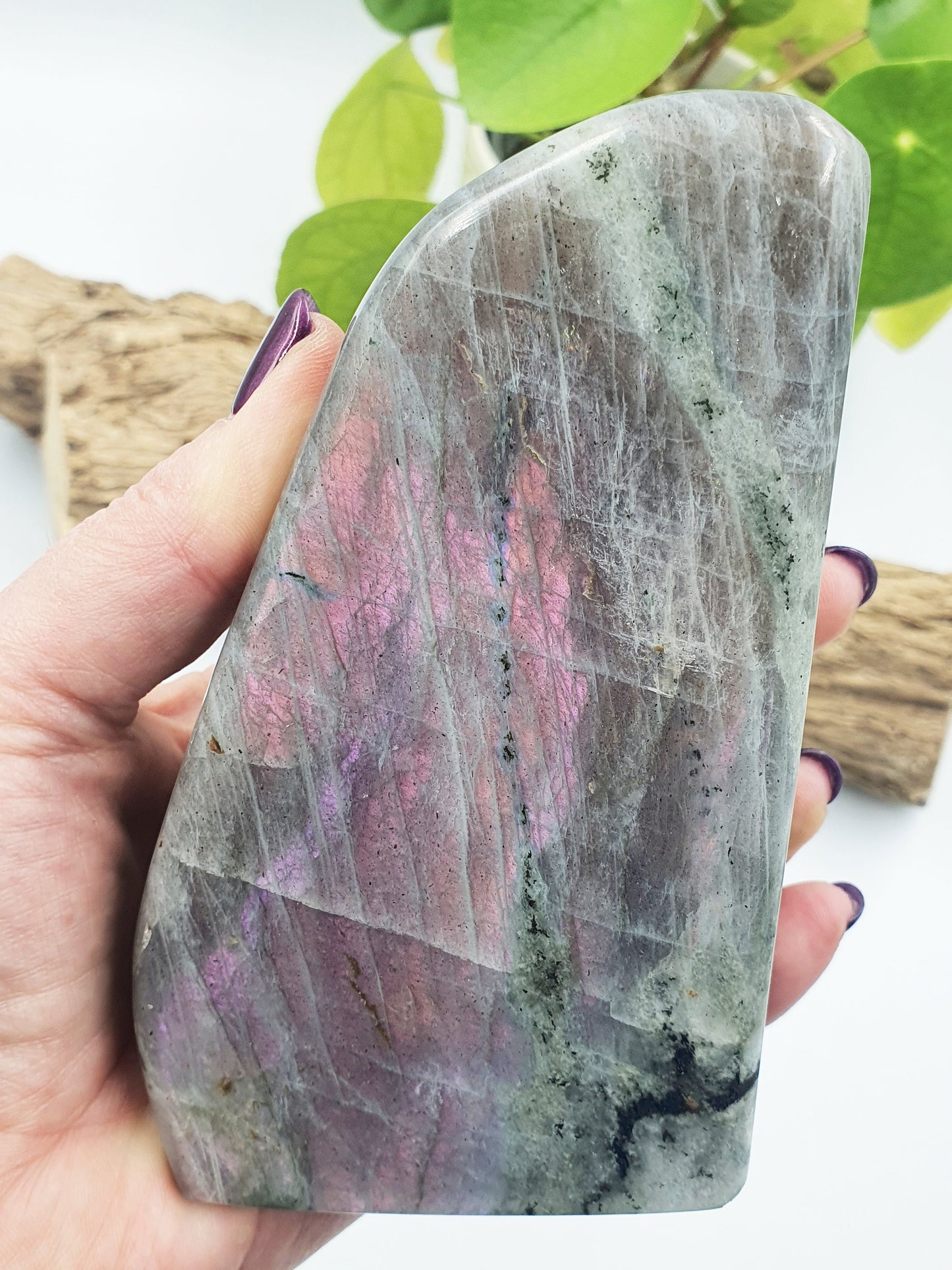 Pink Labradorite Freeform