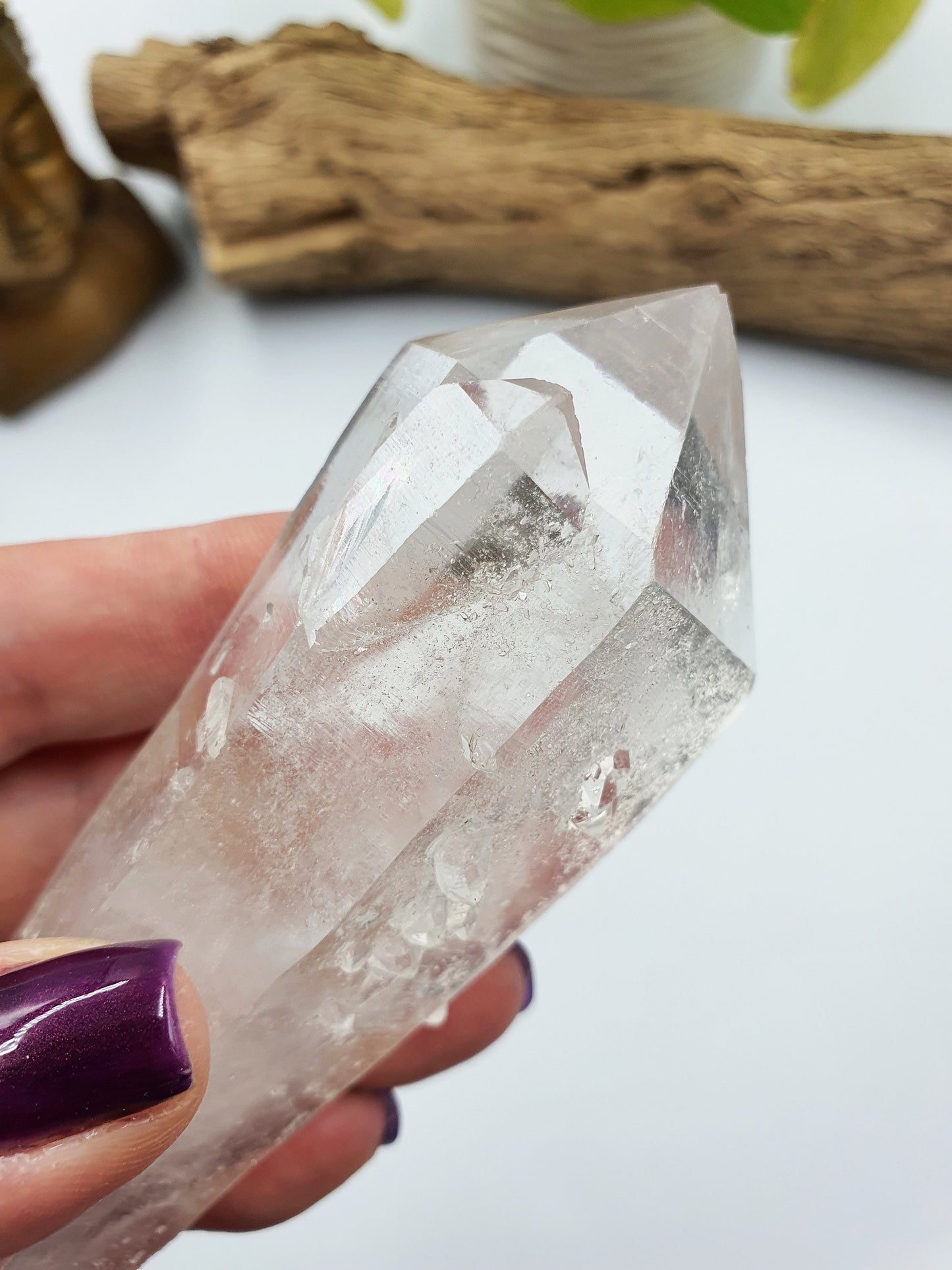 Rare Large Lemurian Seed Quartz DT