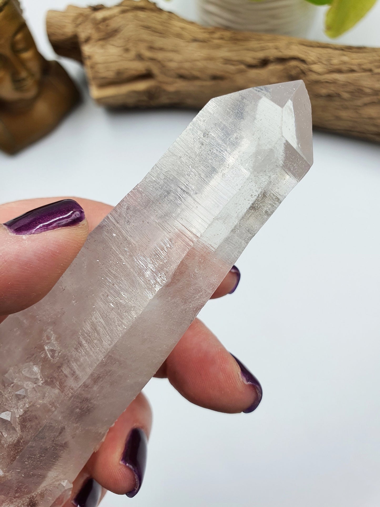 Rare Large Lemurian Seed Quartz DT