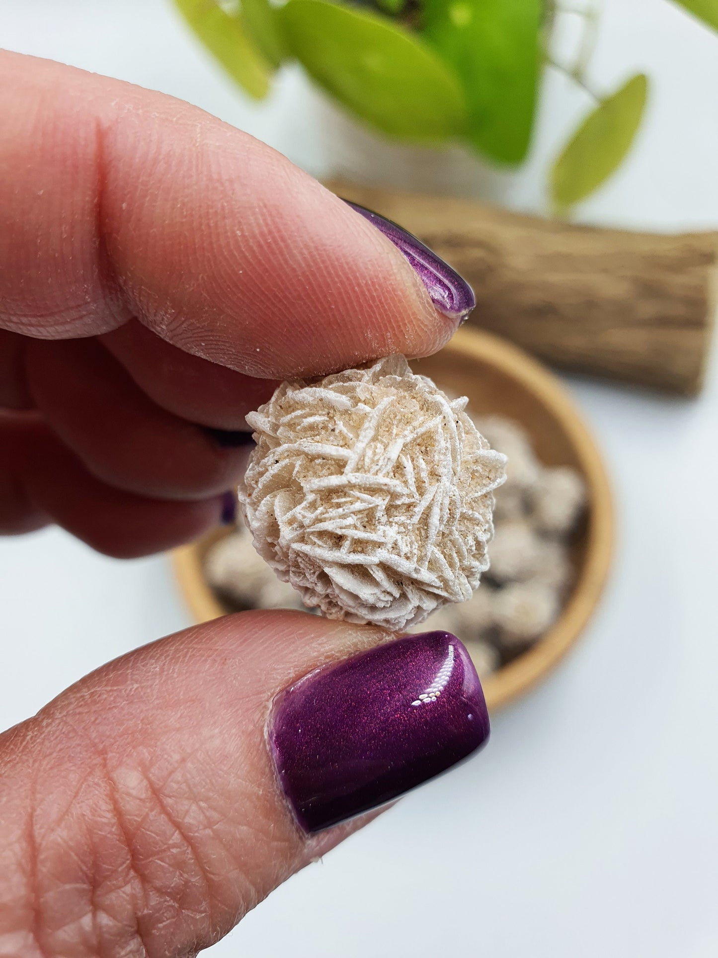 6 x Desert Rose Specimen