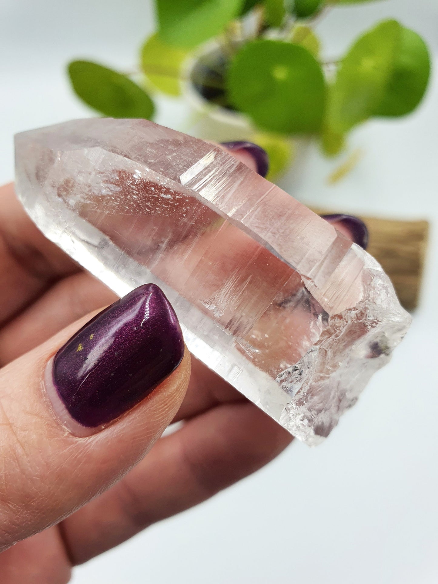 Himalayan Quartz Point