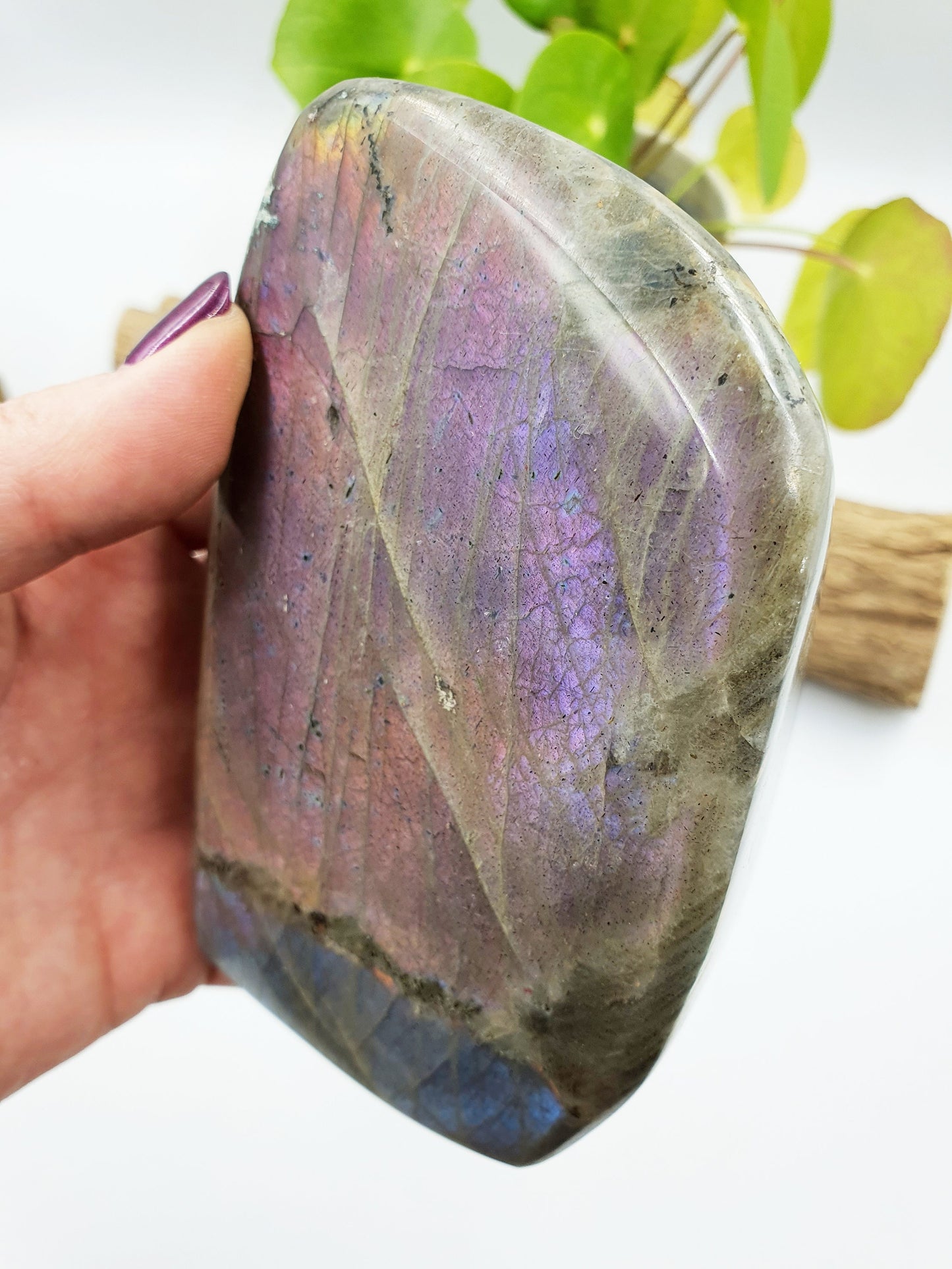 Pink and Purple Labradorite Freeform