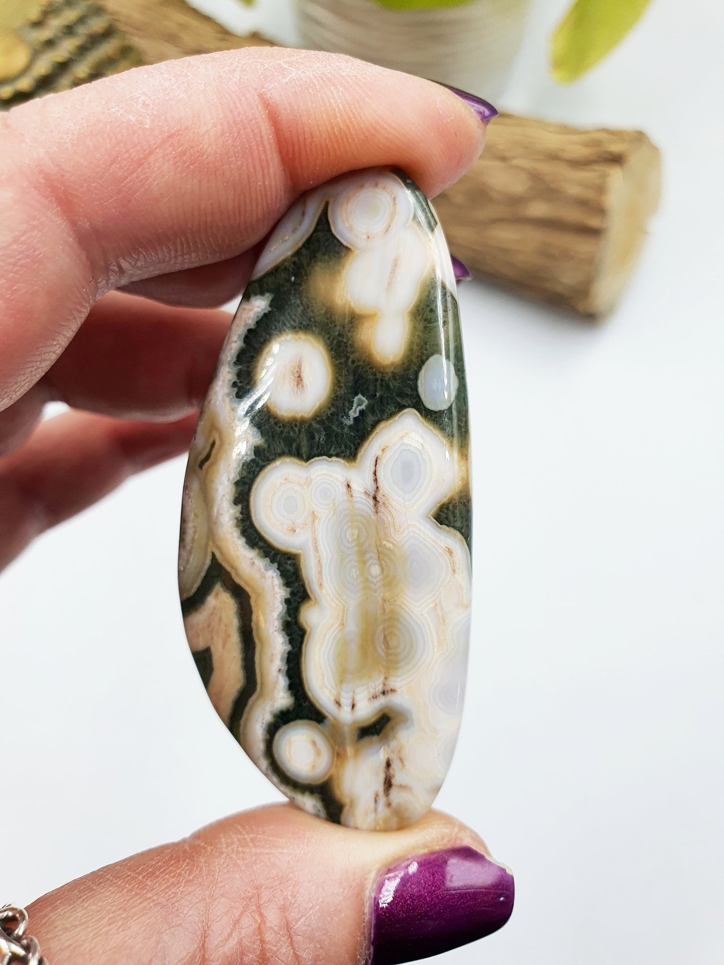 Rare 8th Vein Ocean Jasper Palm