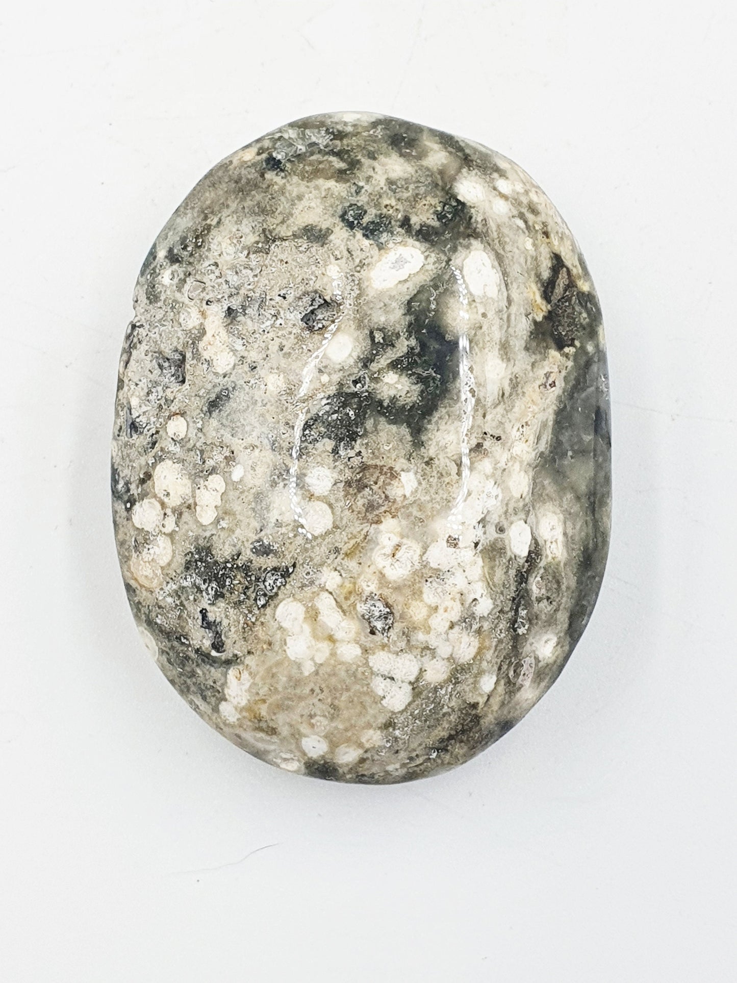 Large Ocean Jasper Palm