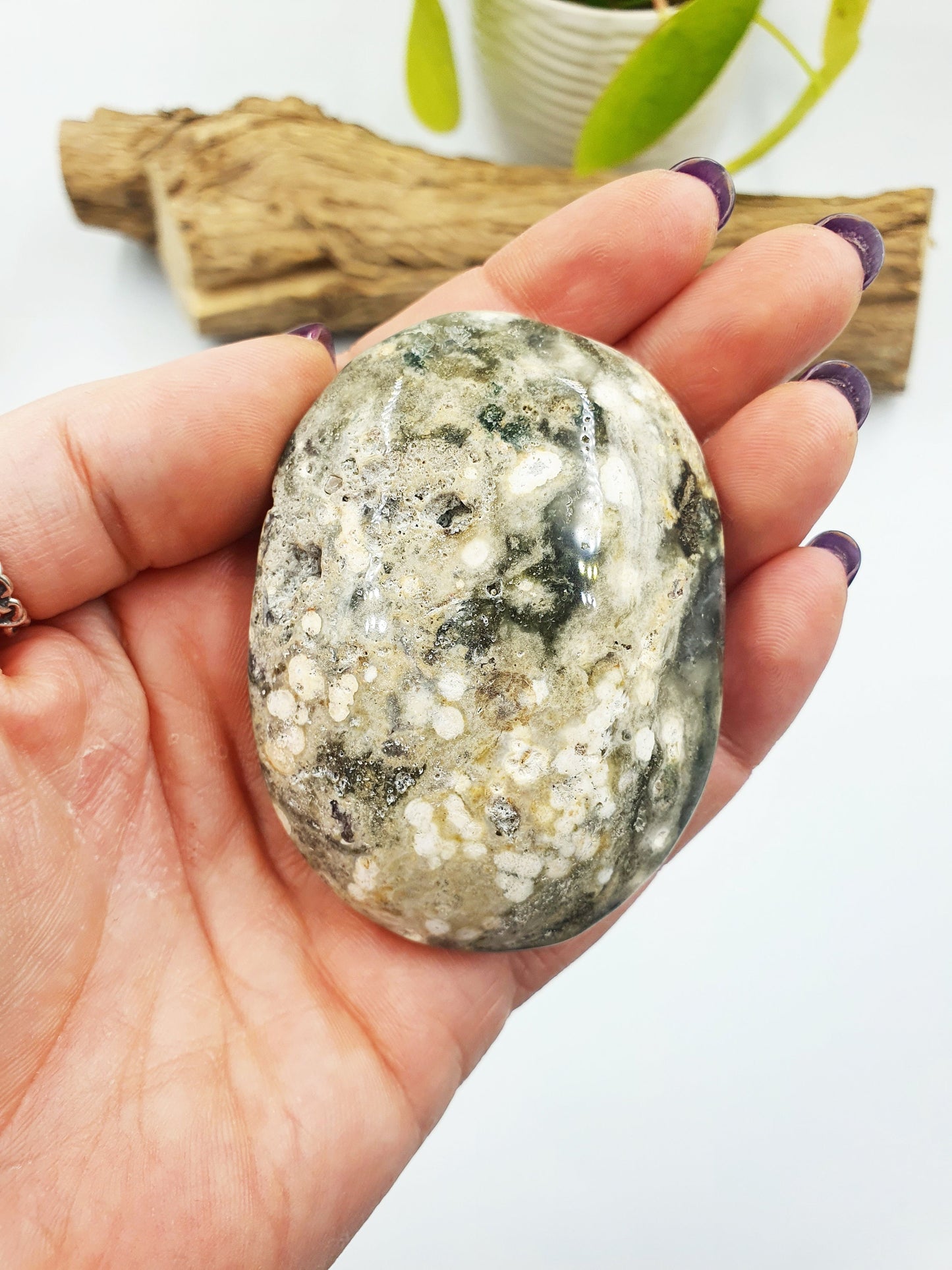 Large Ocean Jasper Palm