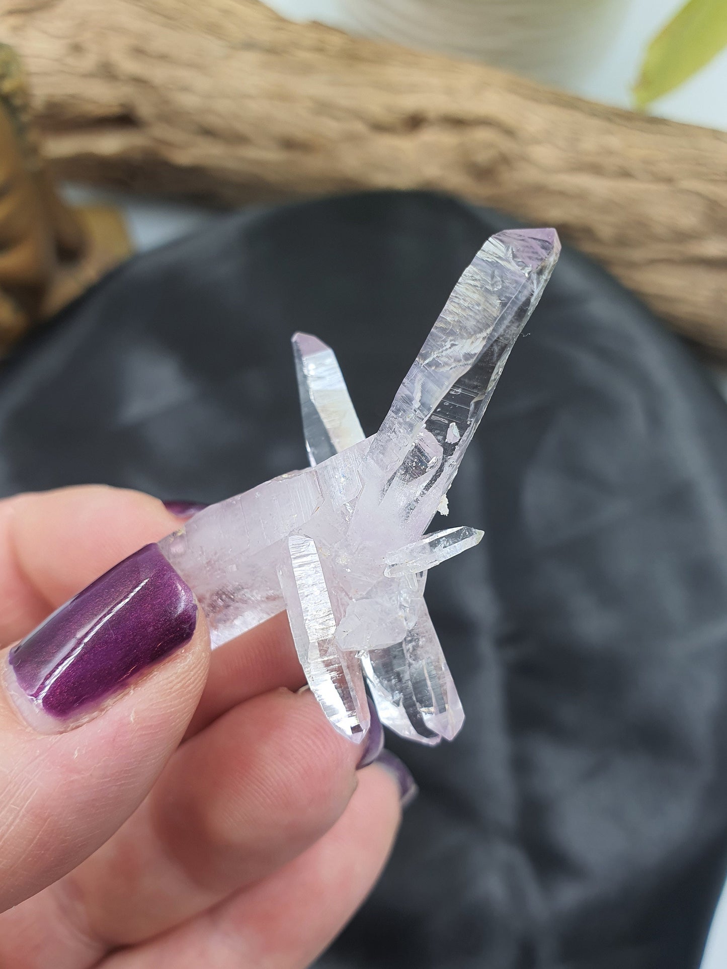 Vera Cruz Amethyst Cluster