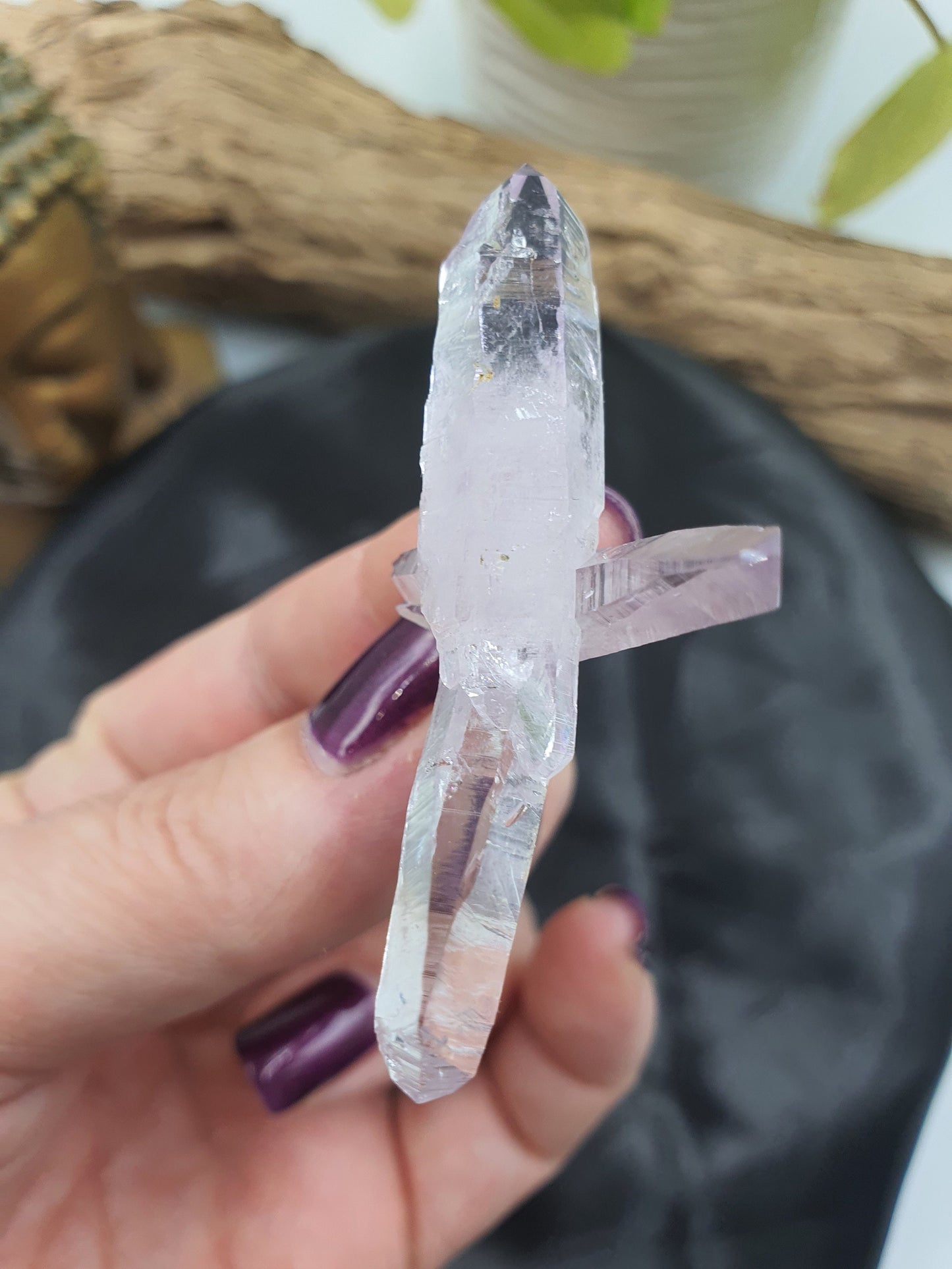 Vera Cruz Amethyst Cluster