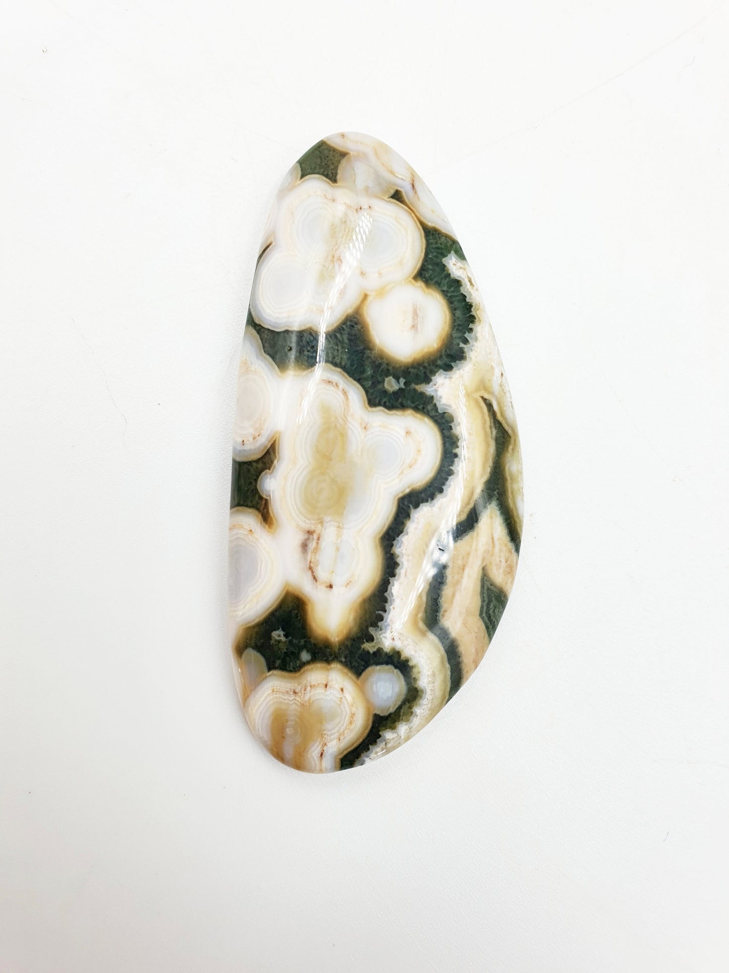Rare 8th Vein Ocean Jasper Palm
