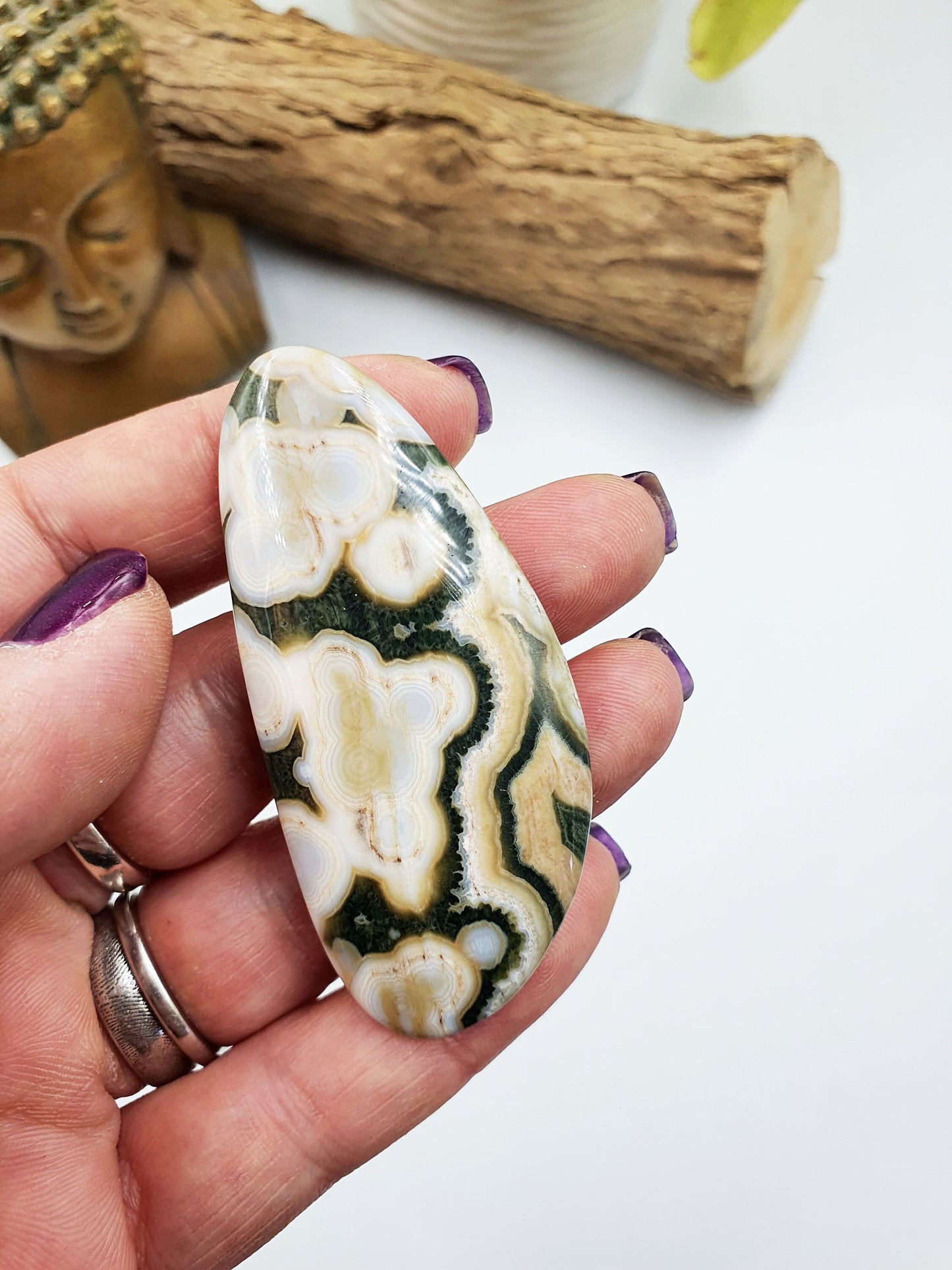 Rare 8th Vein Ocean Jasper Palm