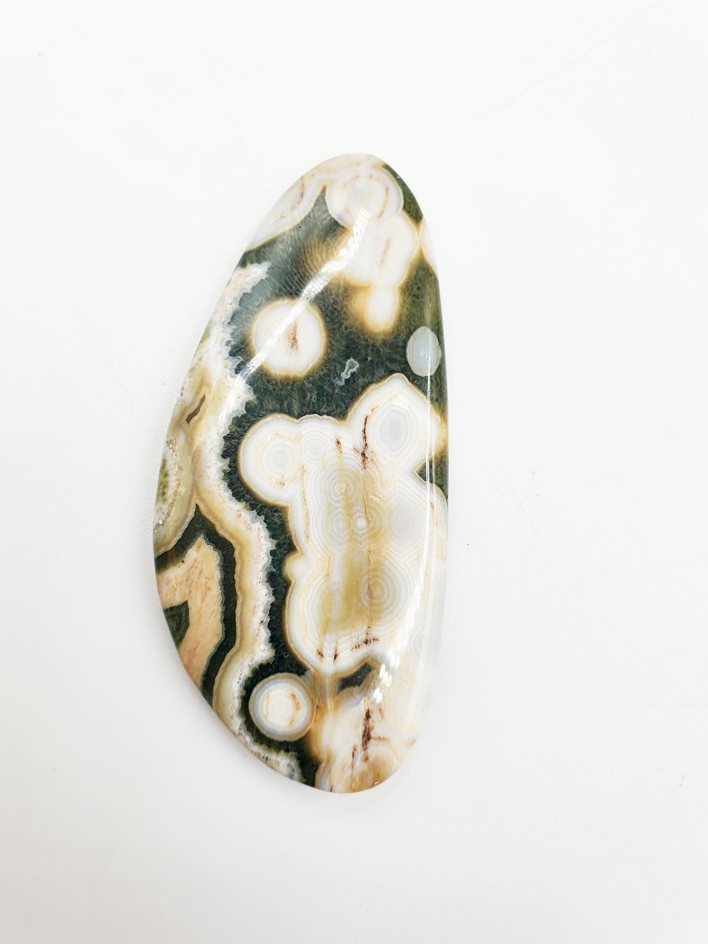 Rare 8th Vein Ocean Jasper Palm