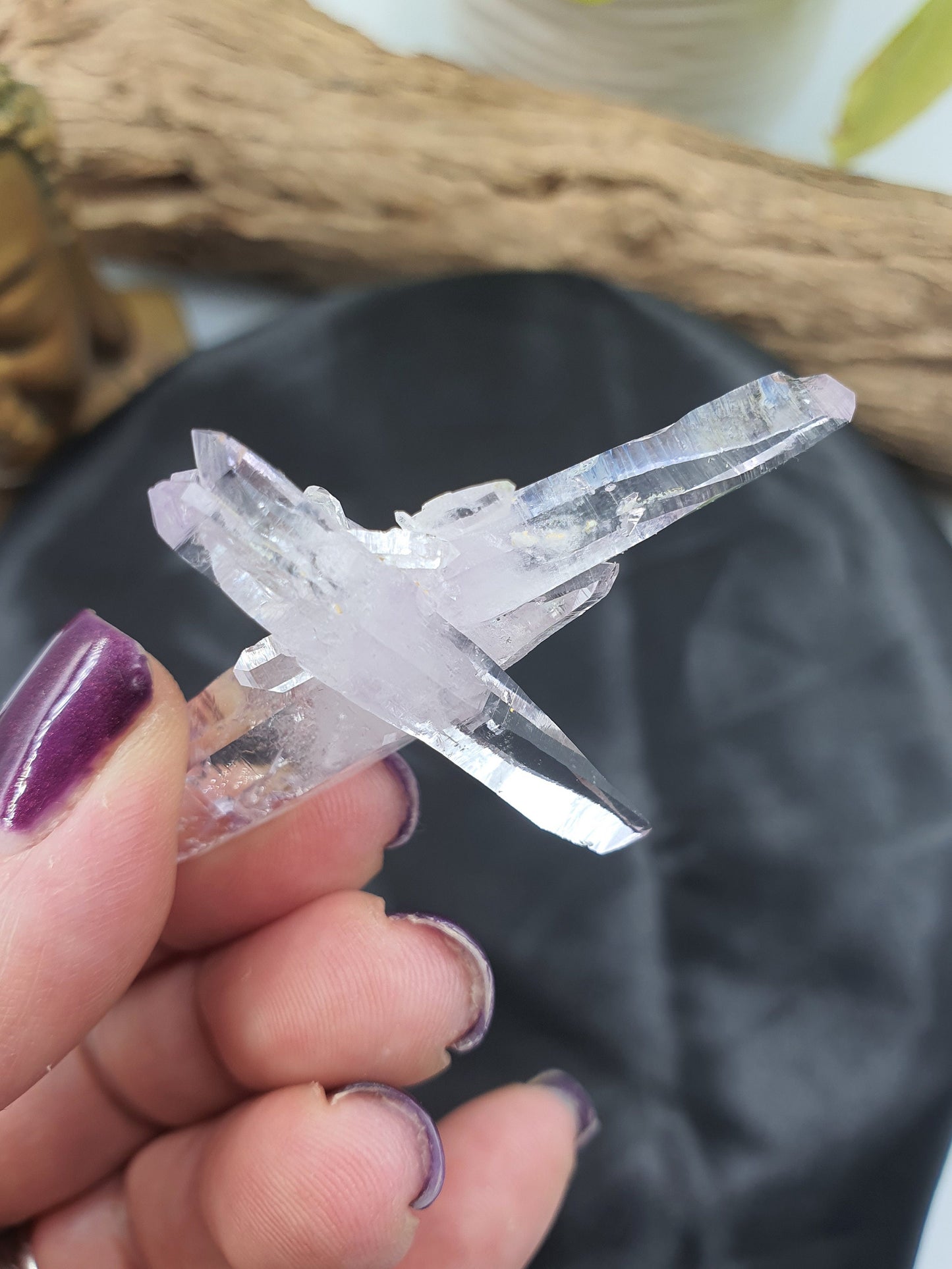 Vera Cruz Amethyst Cluster