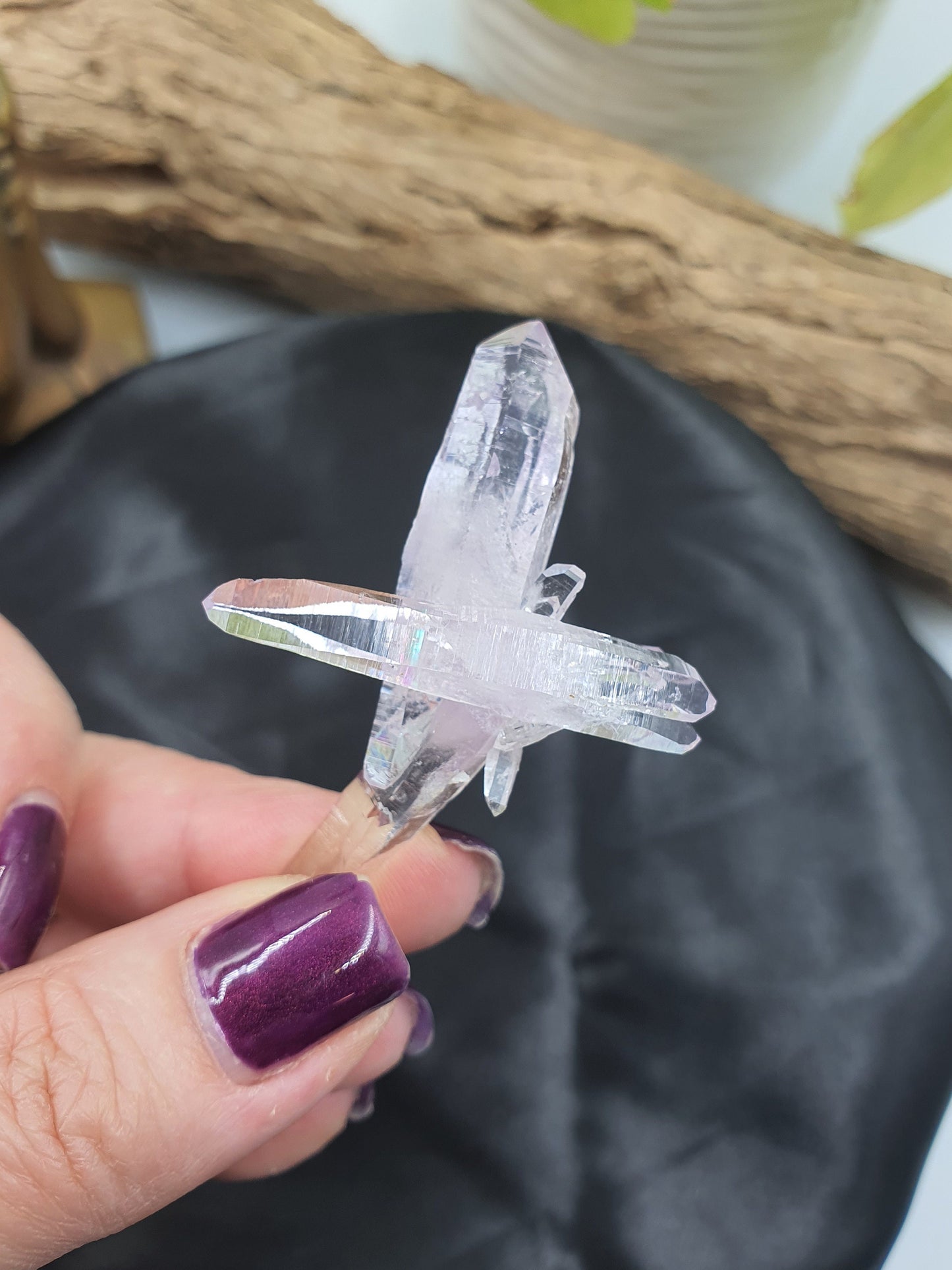 Vera Cruz Amethyst Cluster