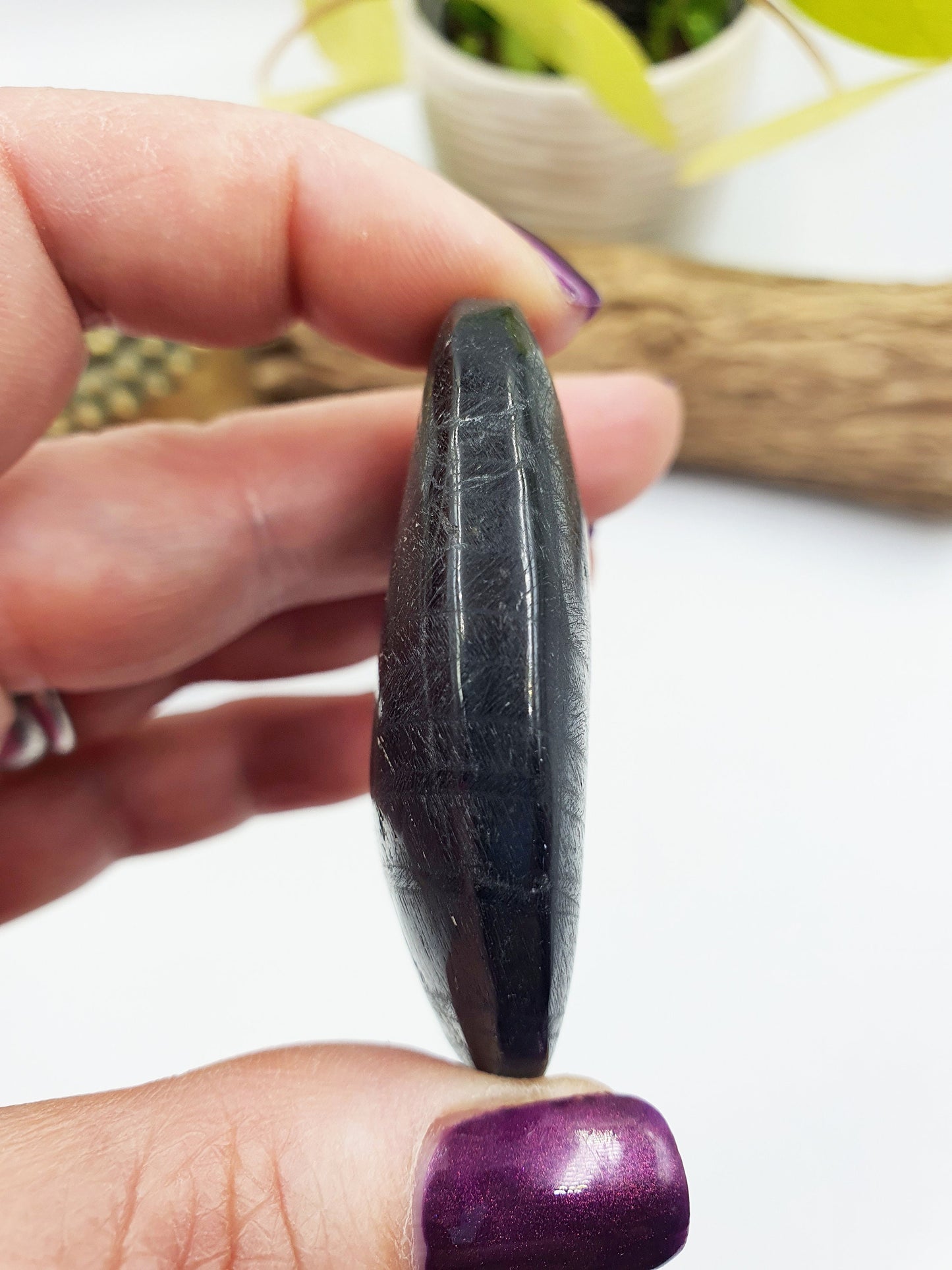 Hypersthene Palm