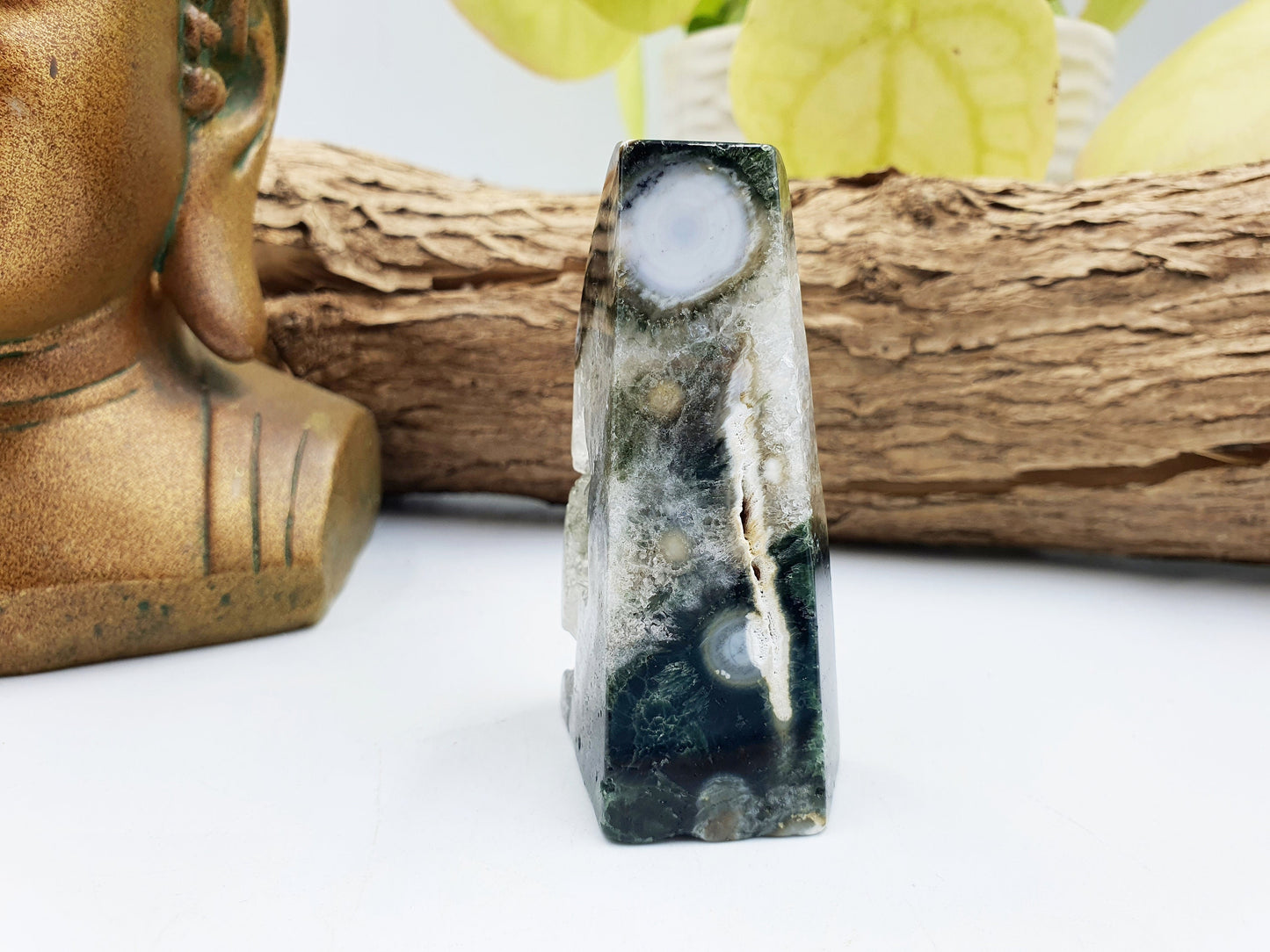 Orbicular Drusy Ocean Jasper Freeform
