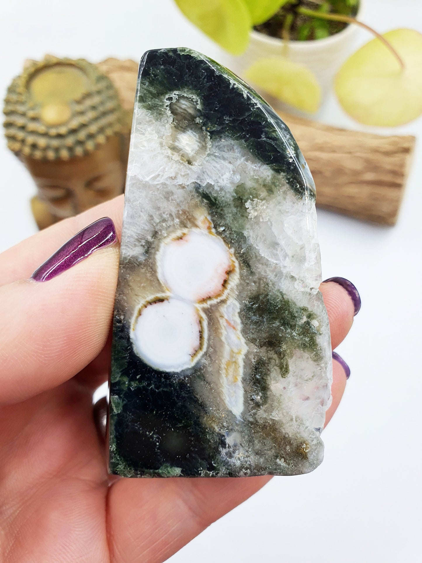 Orbicular Drusy Ocean Jasper Freeform