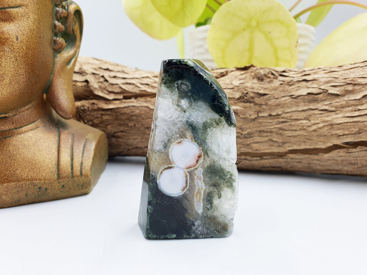 Orbicular Drusy Ocean Jasper Freeform