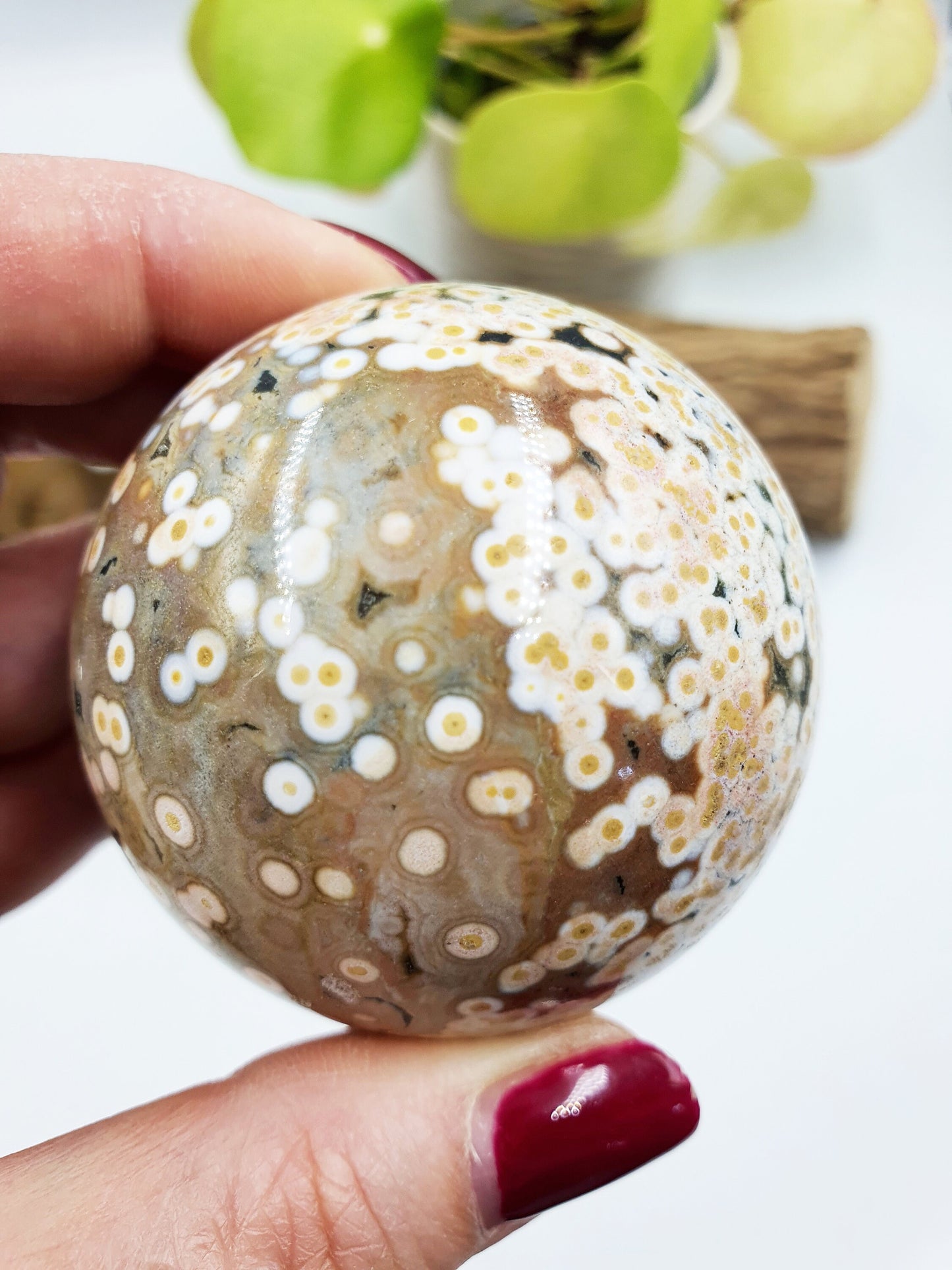 Rare 8th Vein Ocean Jasper Sphere