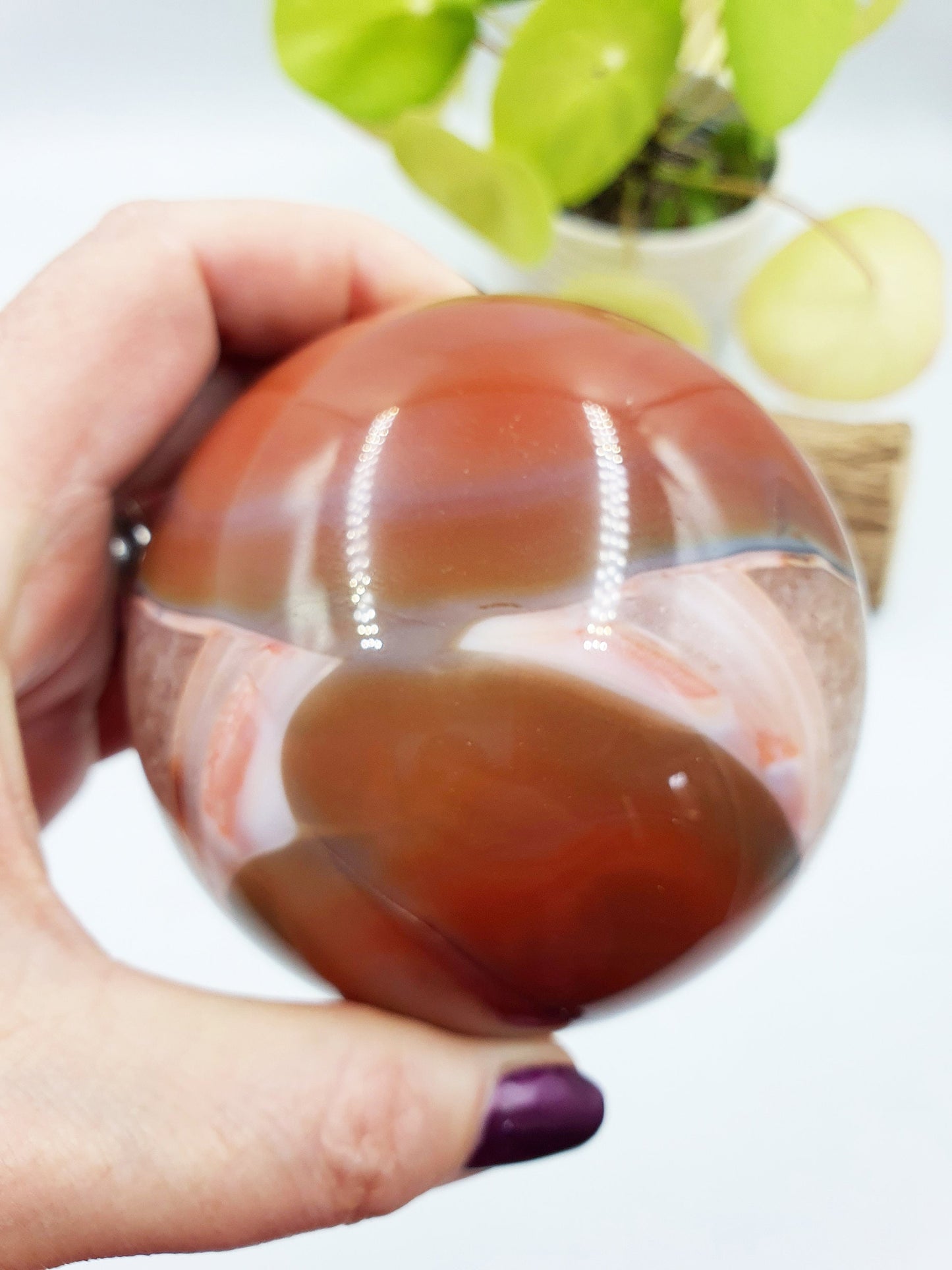 Large Carnelian Drusy Sphere