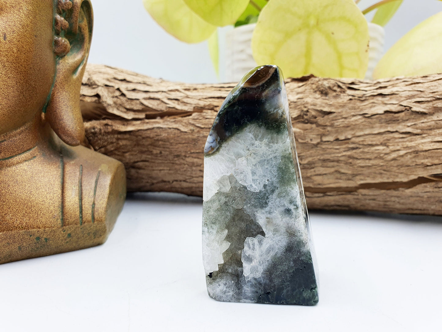 Orbicular Drusy Ocean Jasper Freeform