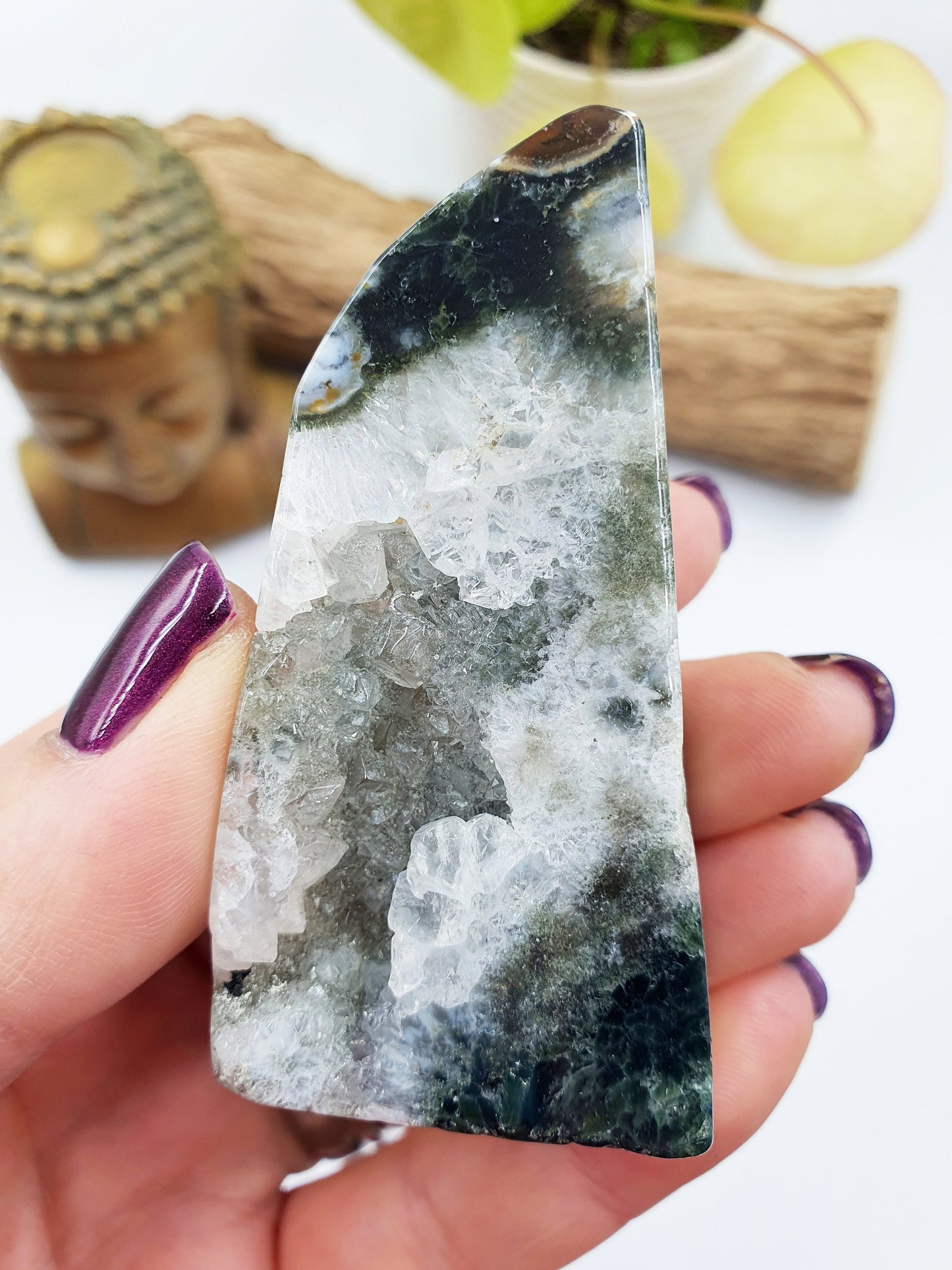 Orbicular Drusy Ocean Jasper Freeform