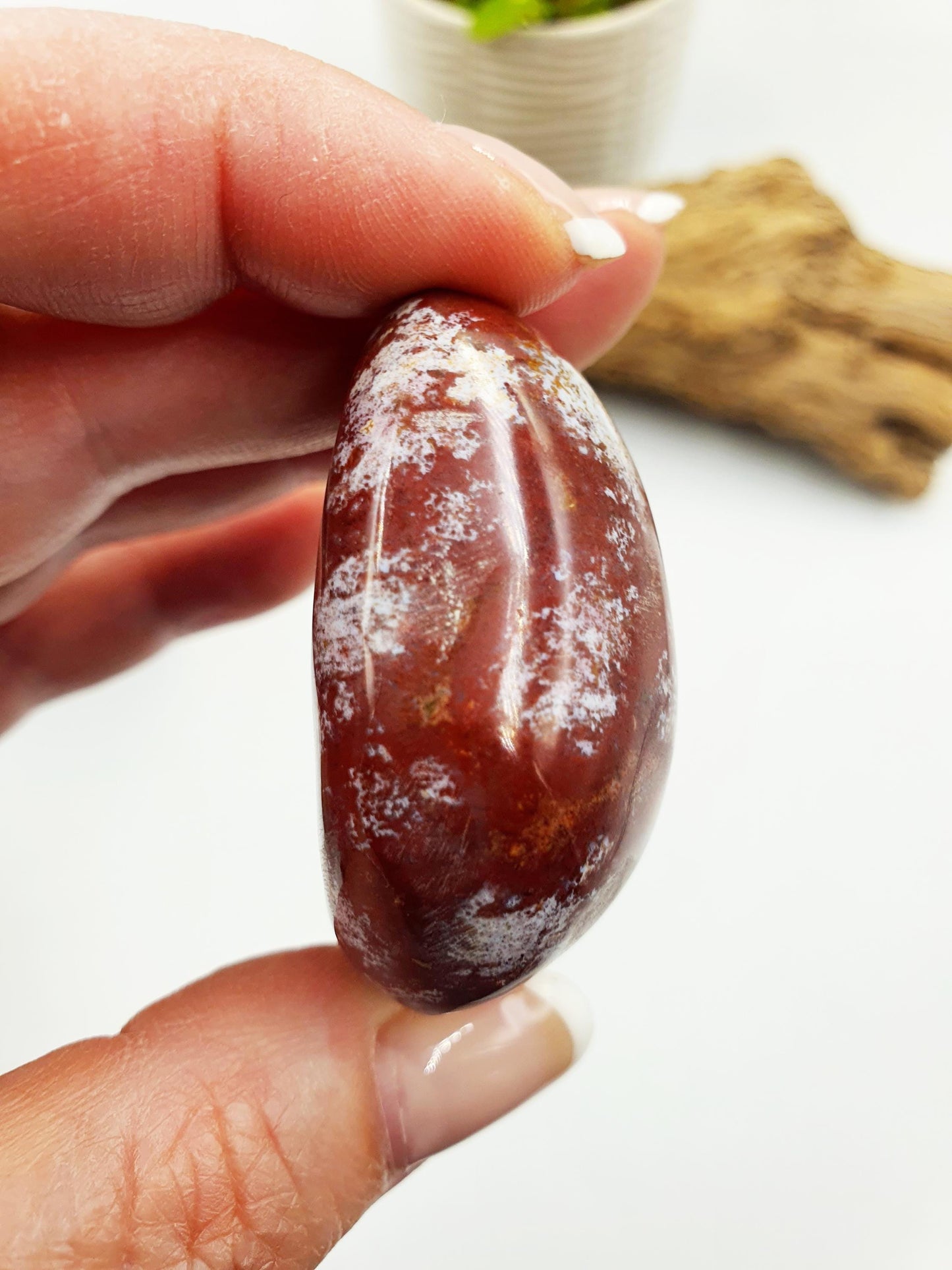 Ocean Jasper Palm