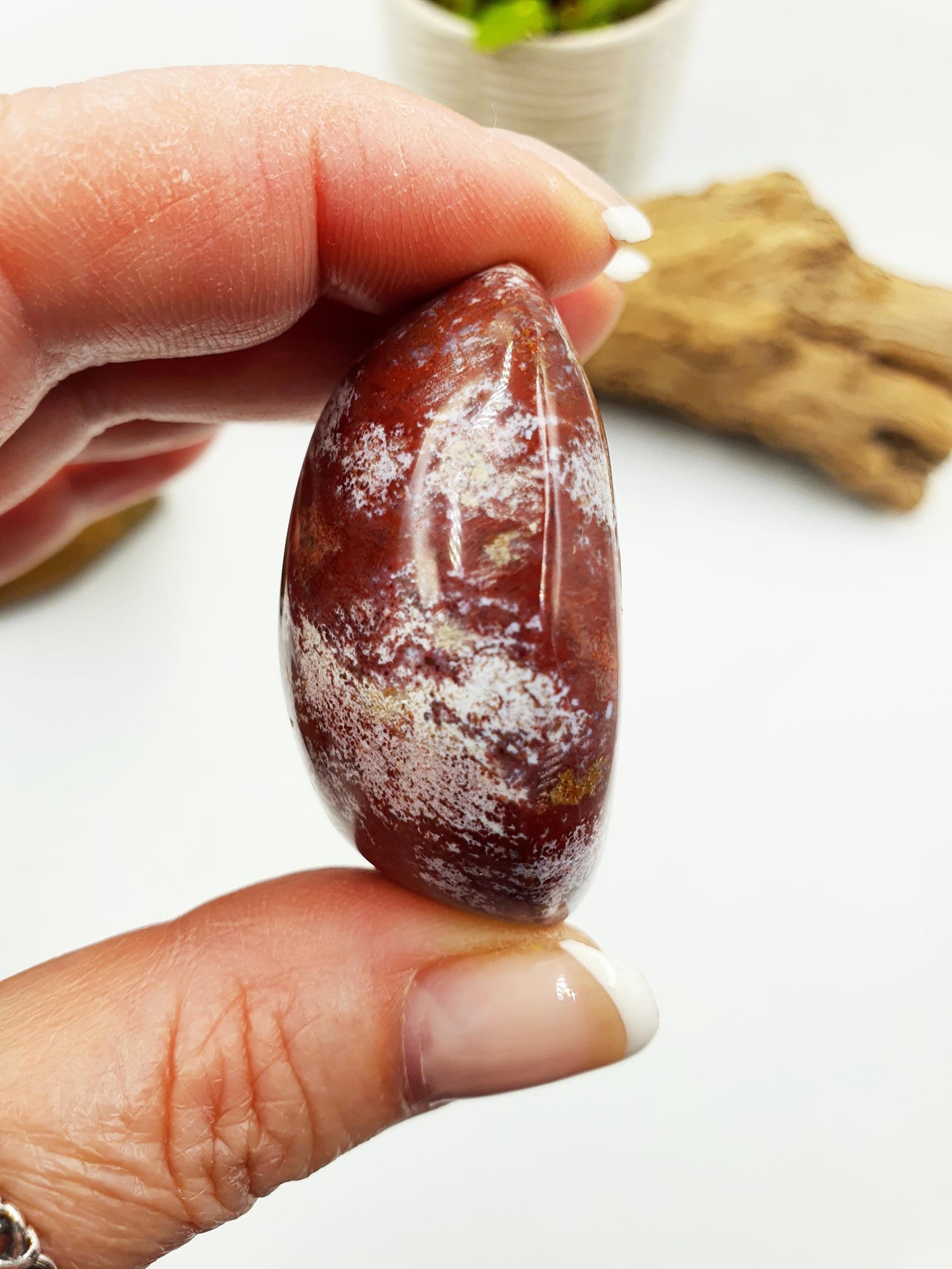Ocean Jasper Palm