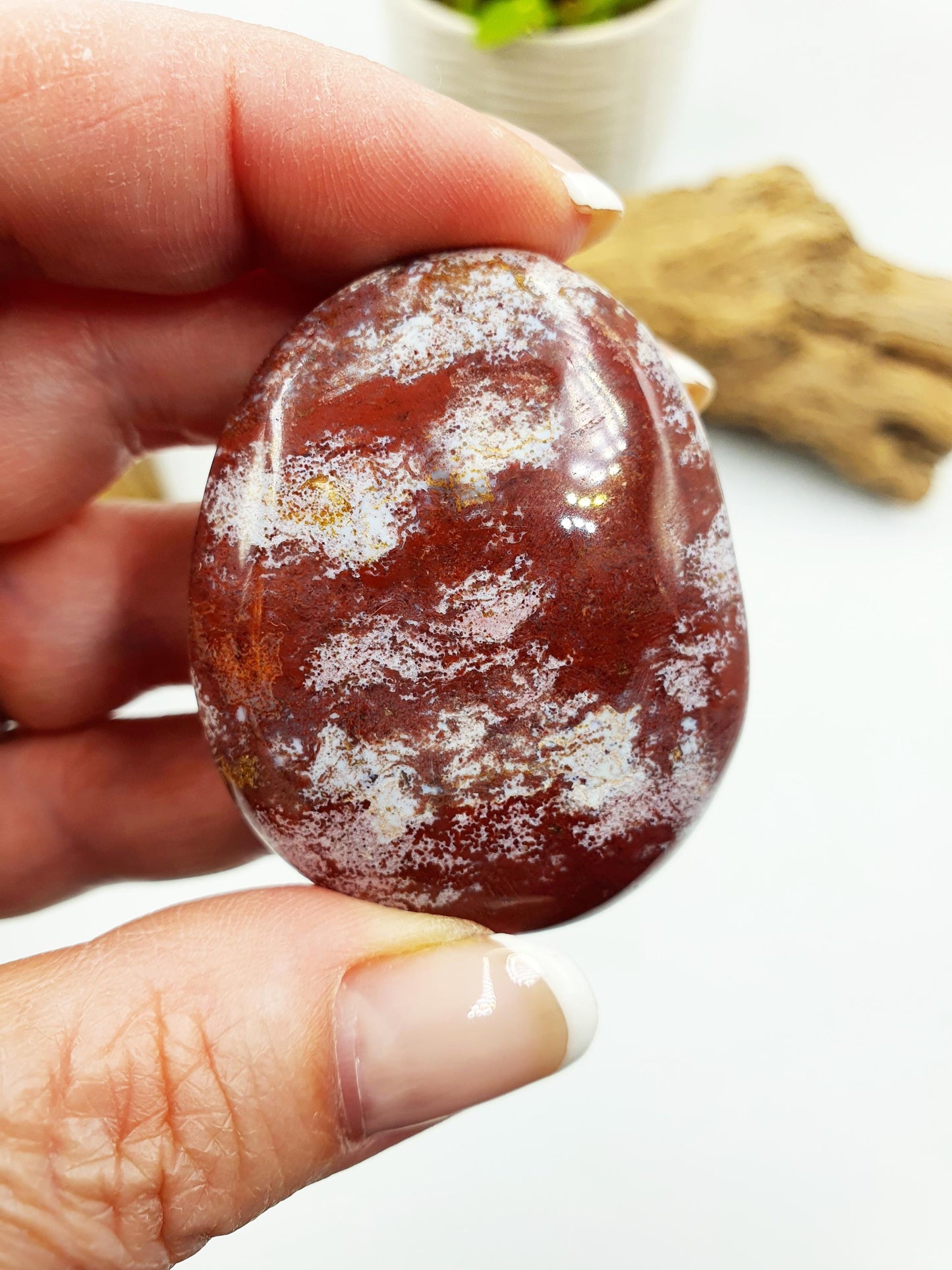 Ocean Jasper Palm