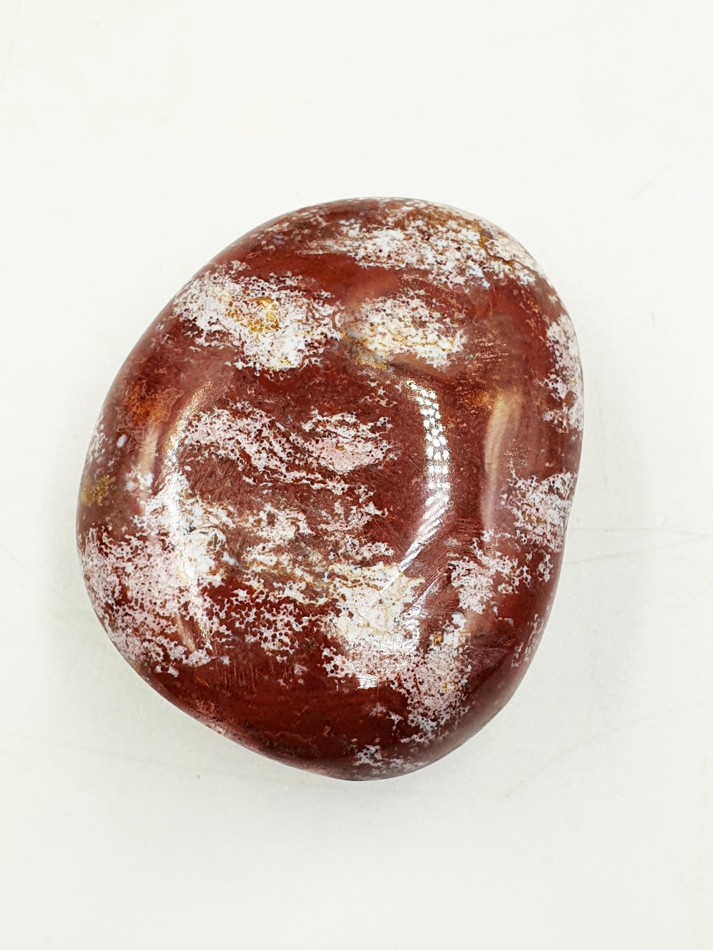 Ocean Jasper Palm