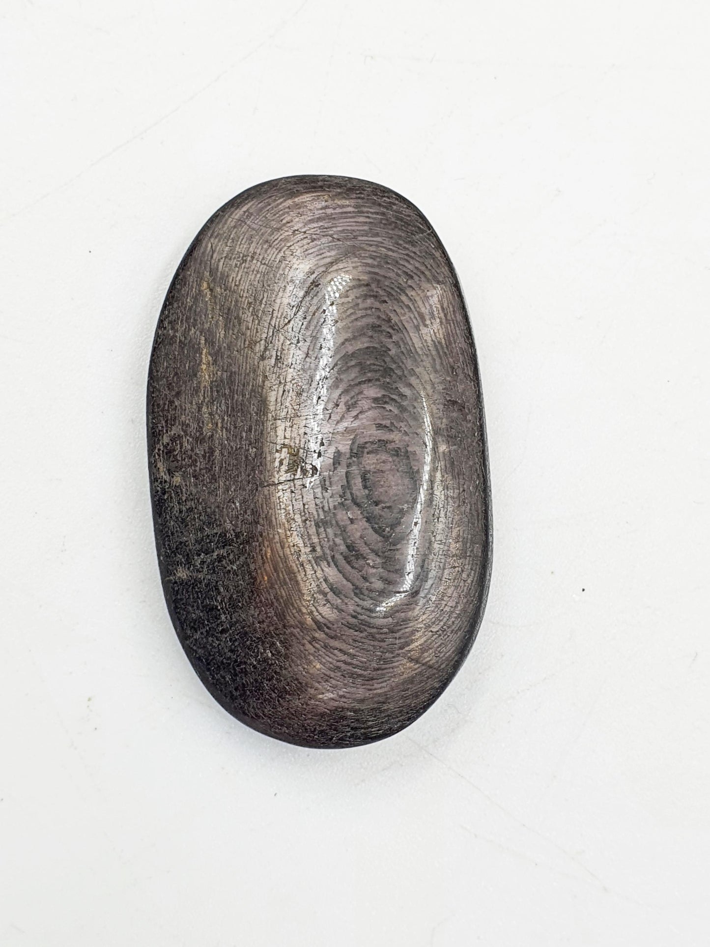 Hypersthene Palm