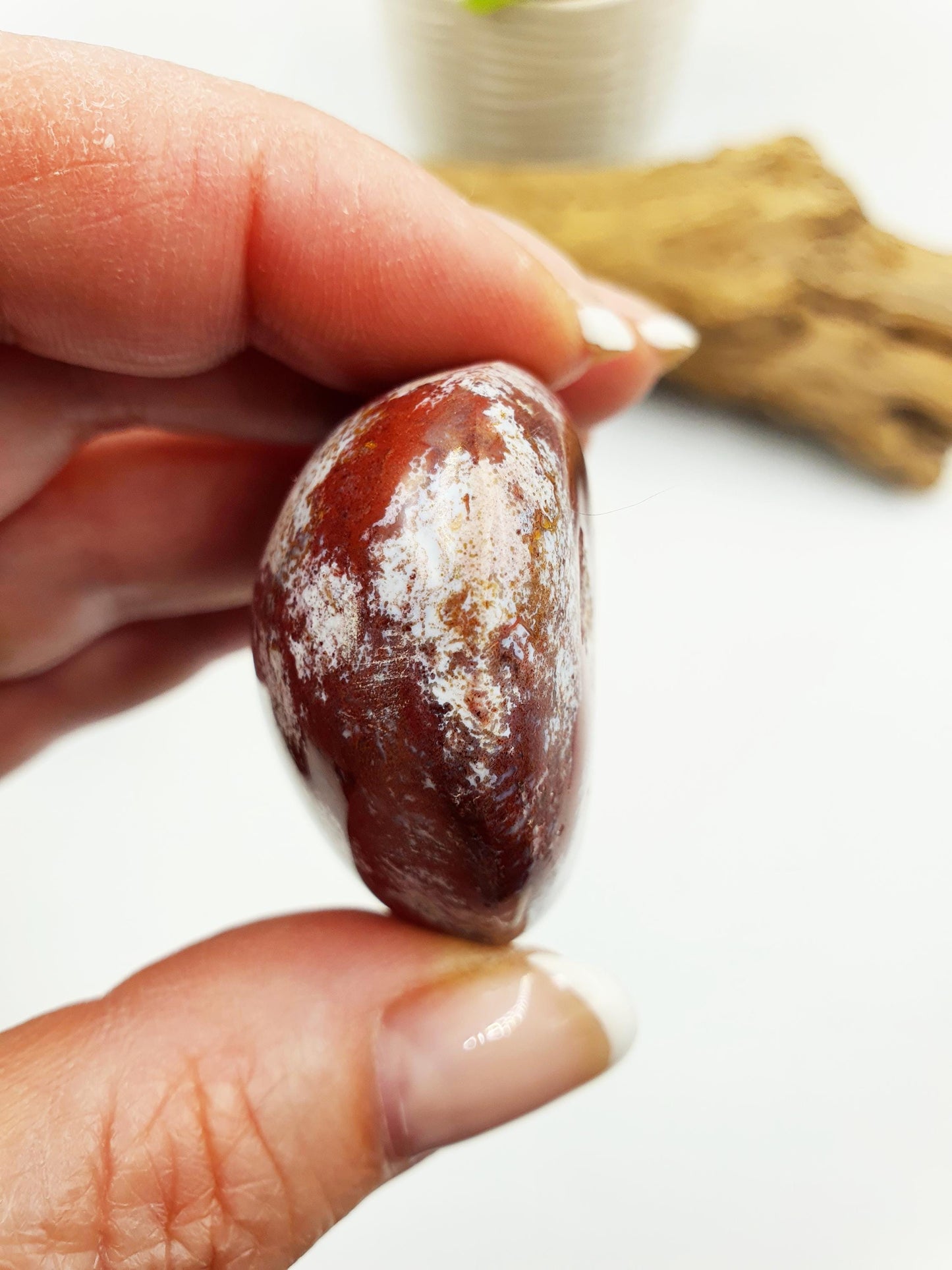 Ocean Jasper Palm
