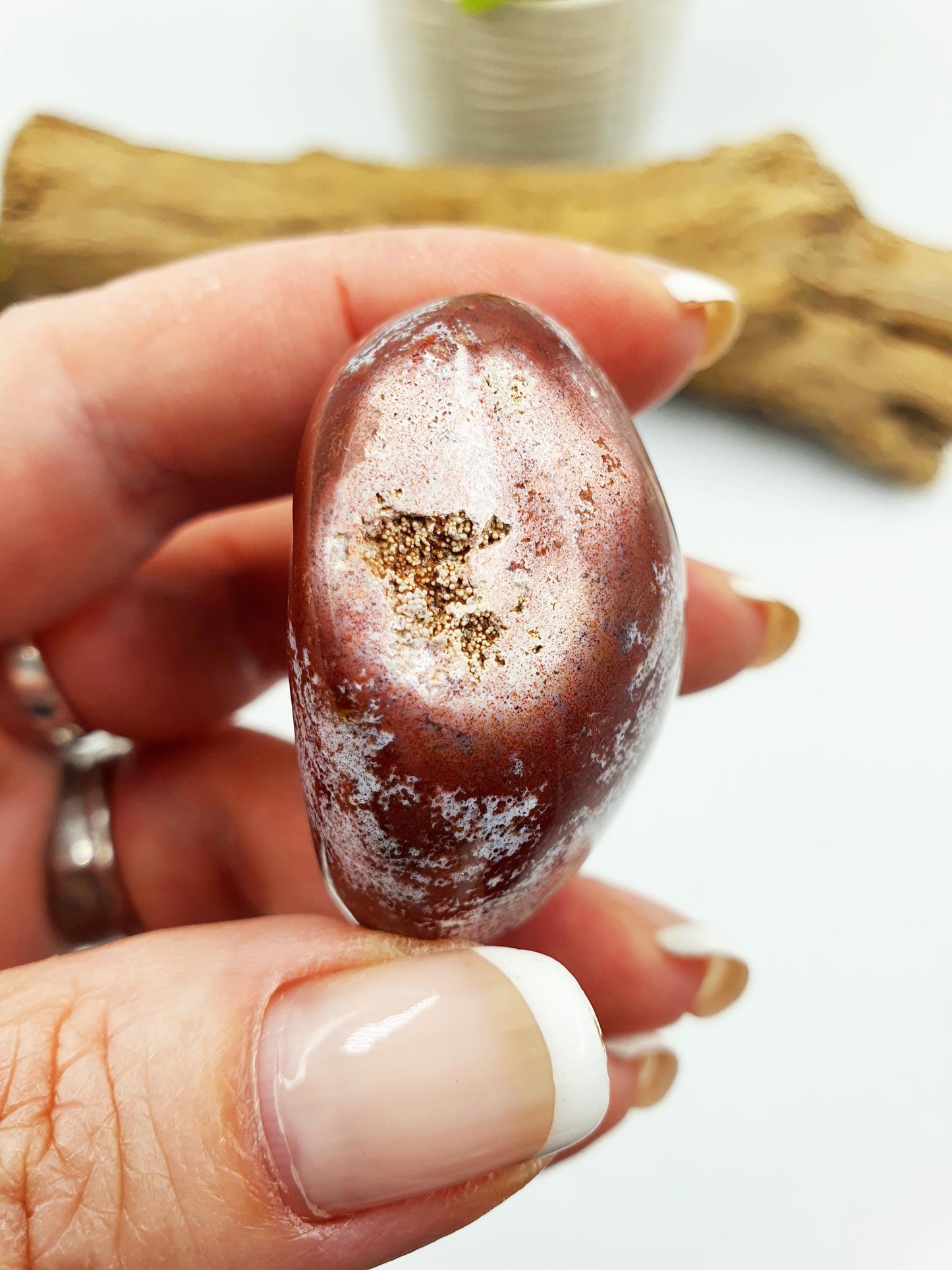 Ocean Jasper Palm