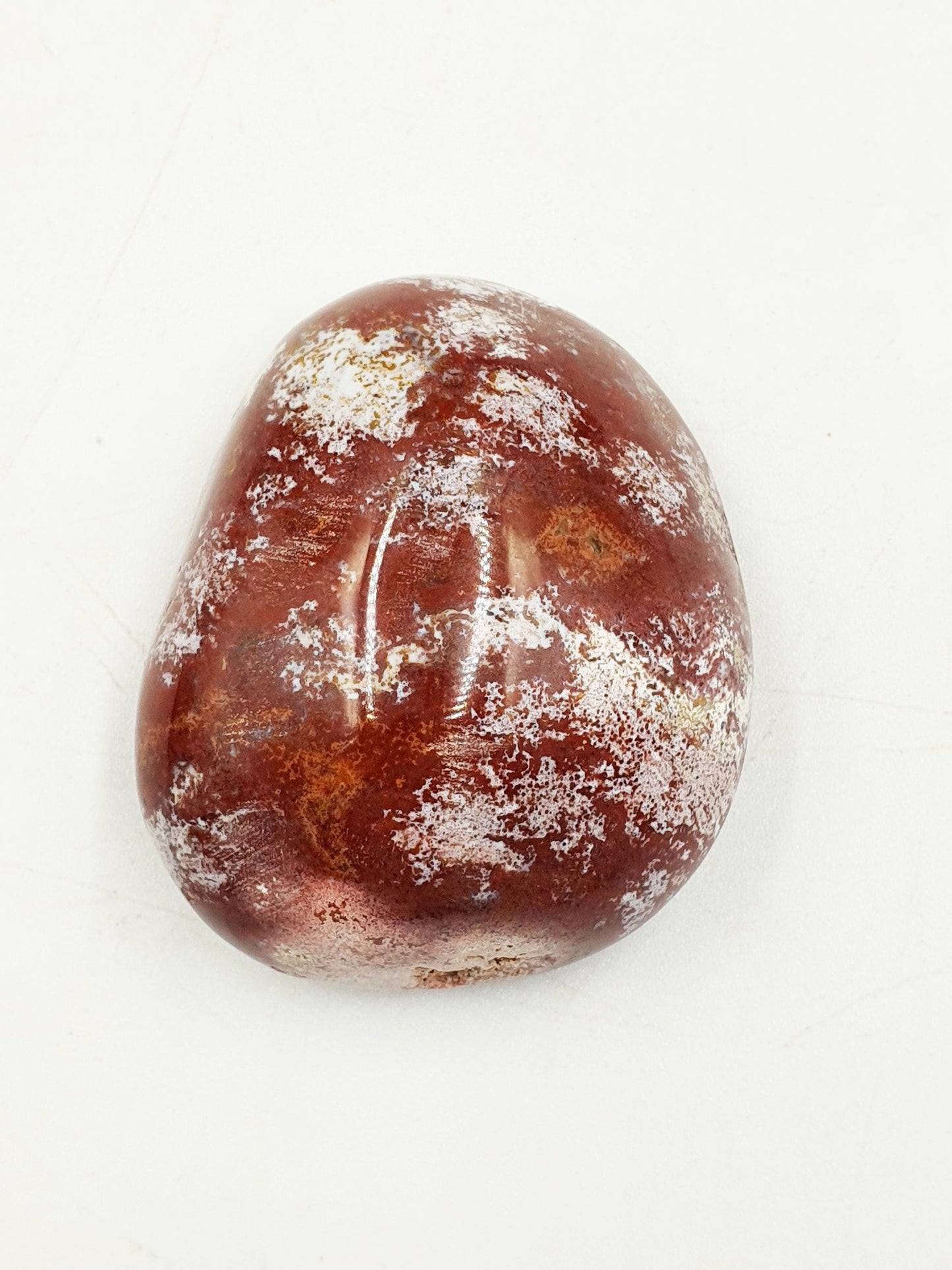 Ocean Jasper Palm