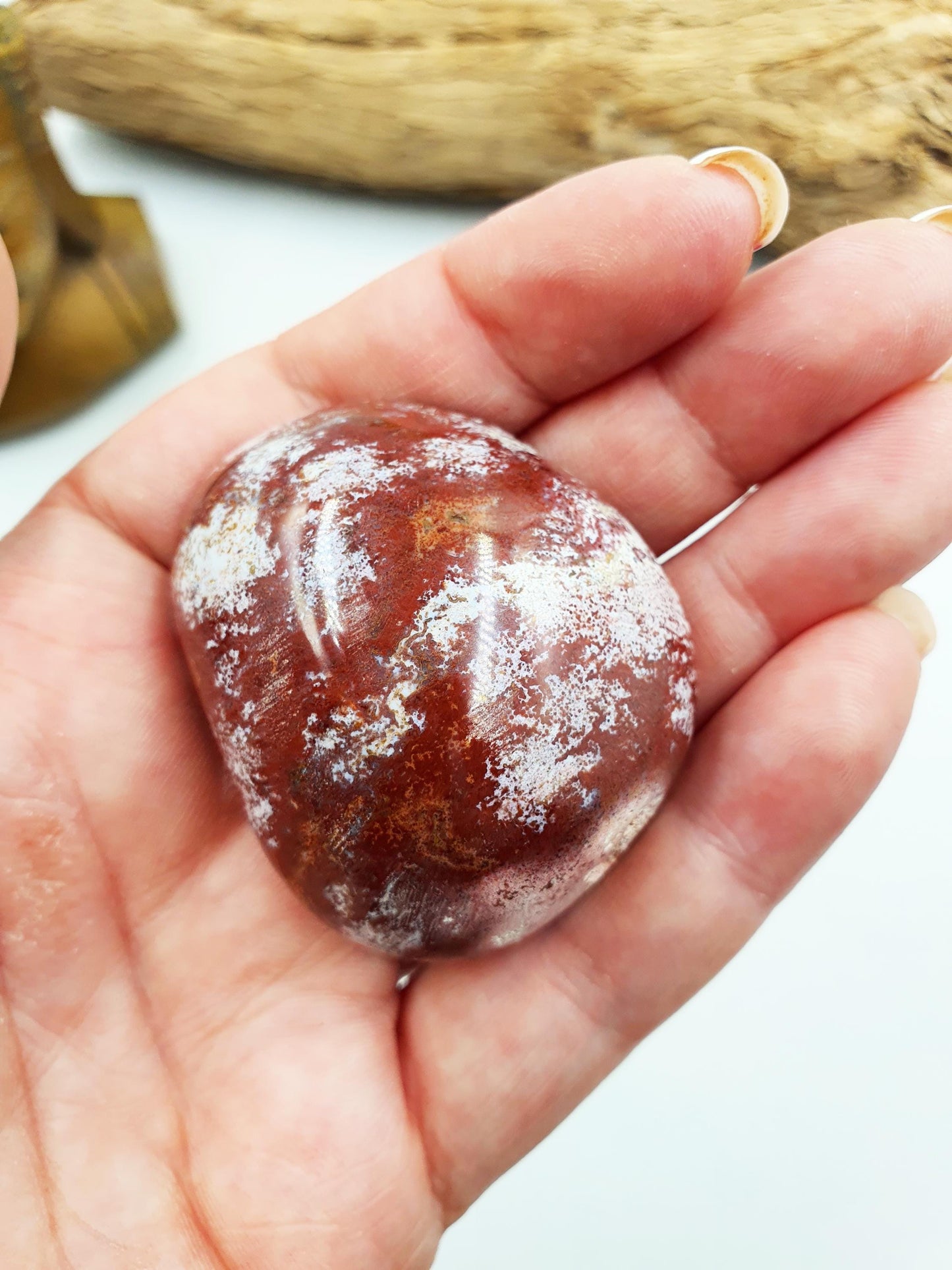 Ocean Jasper Palm