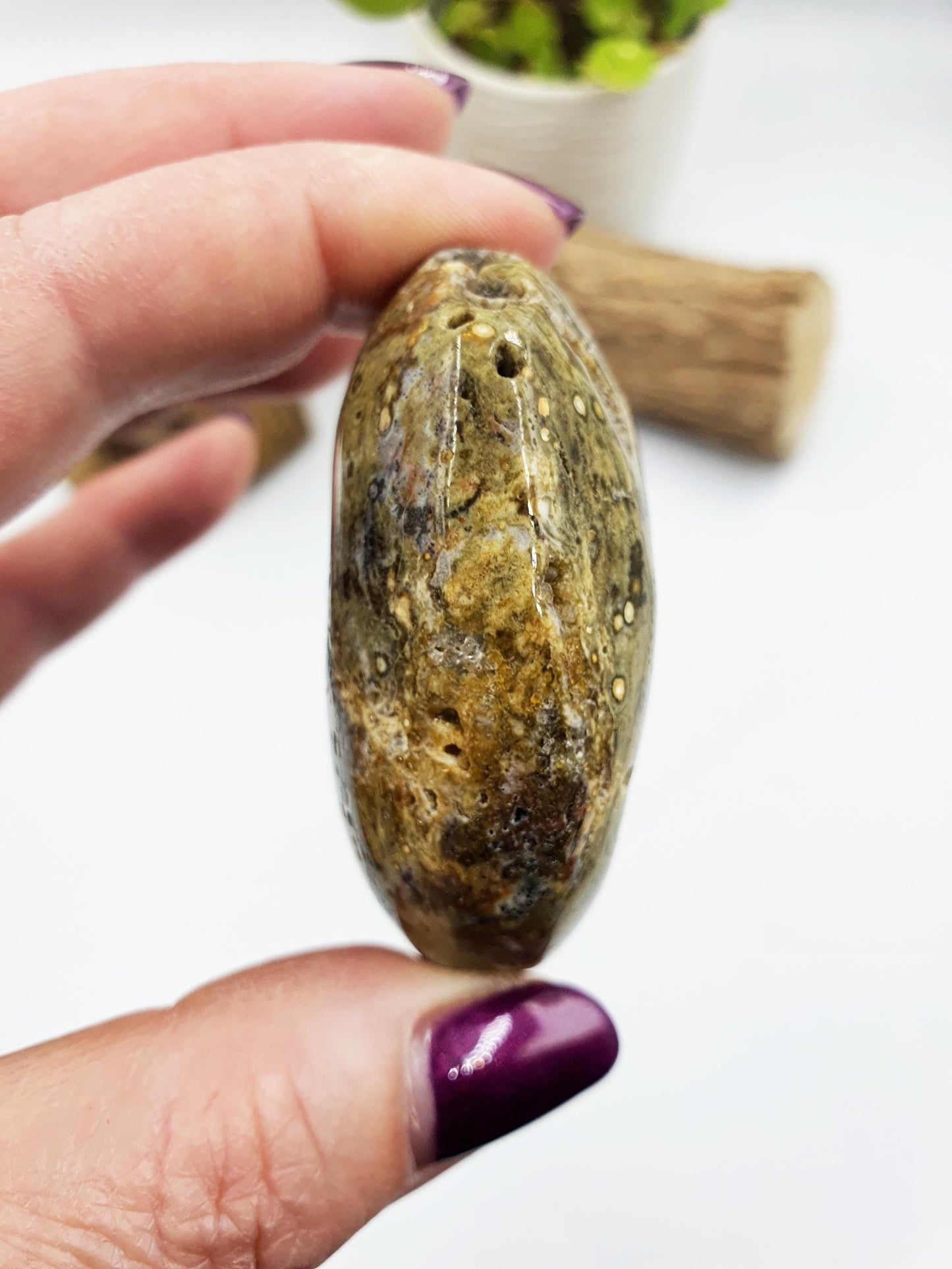 Ocean Jasper Palm