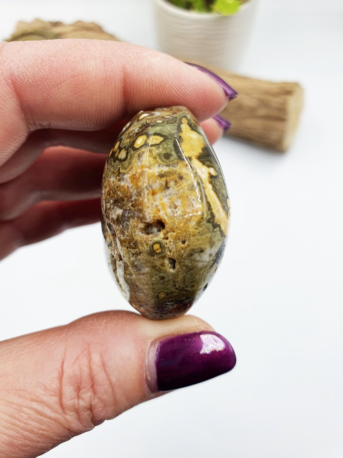 Ocean Jasper Palm