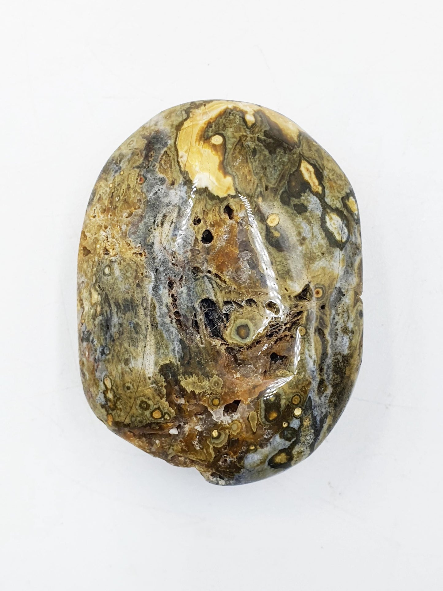Ocean Jasper Palm