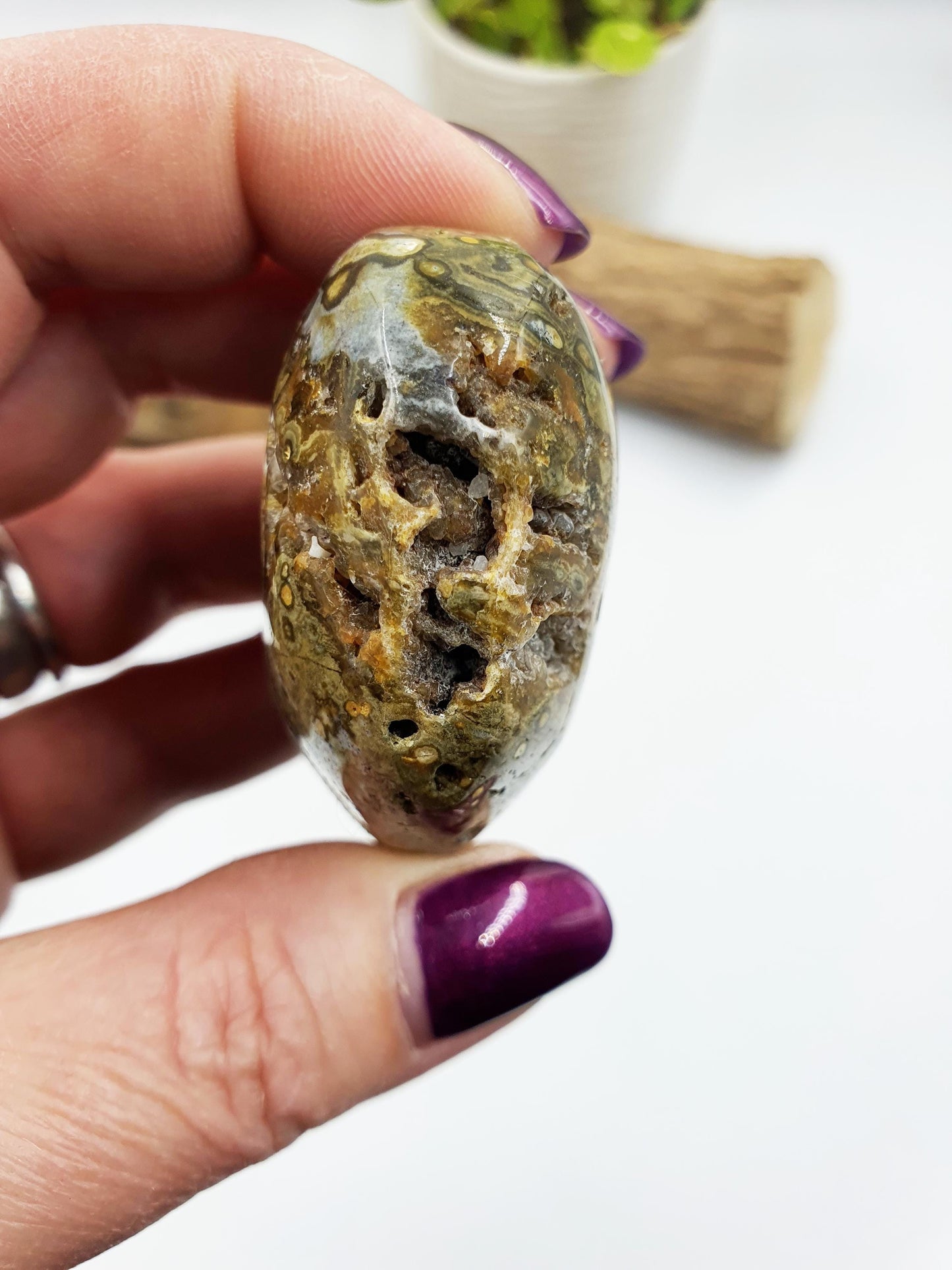 Ocean Jasper Palm
