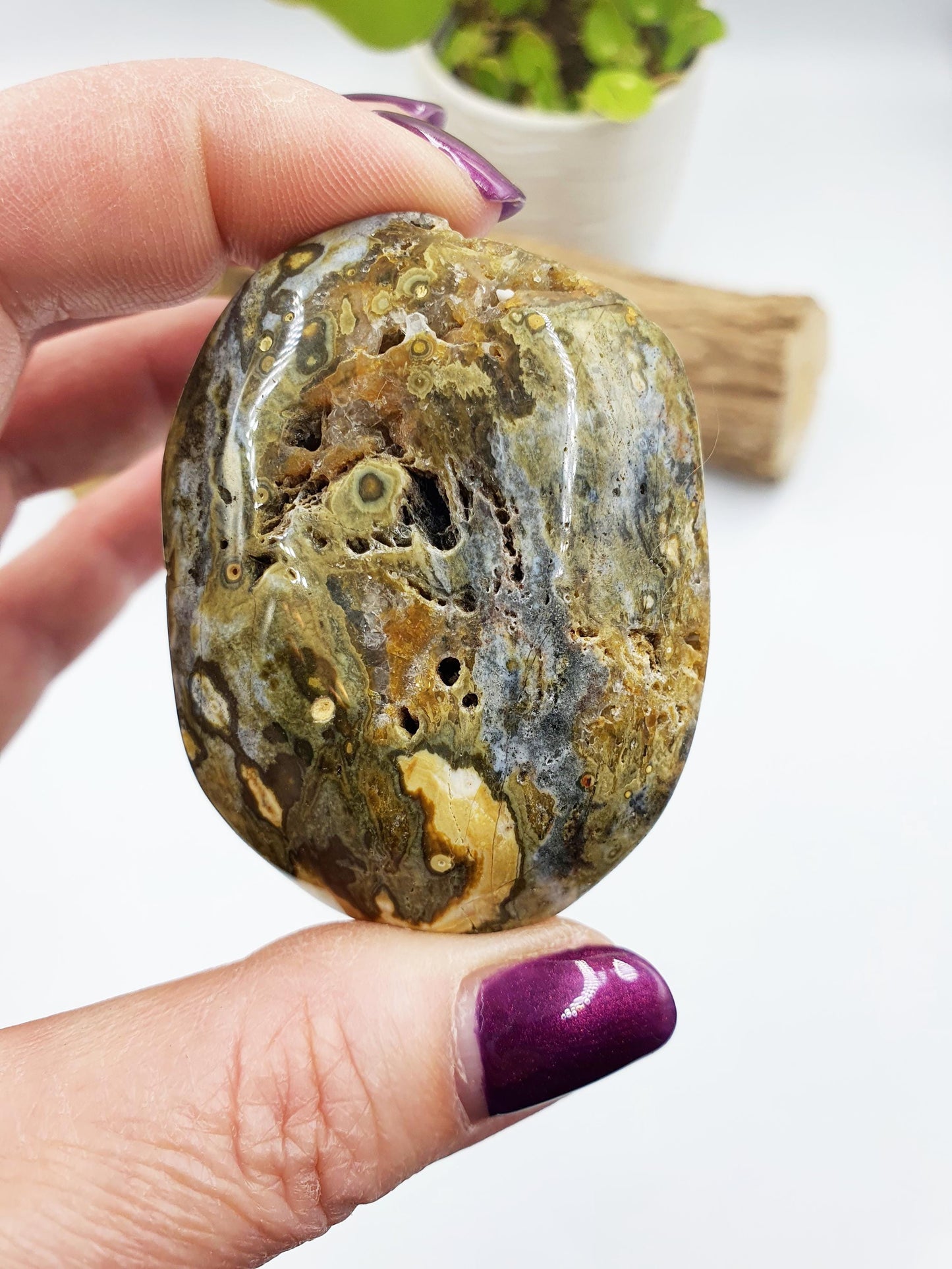 Ocean Jasper Palm