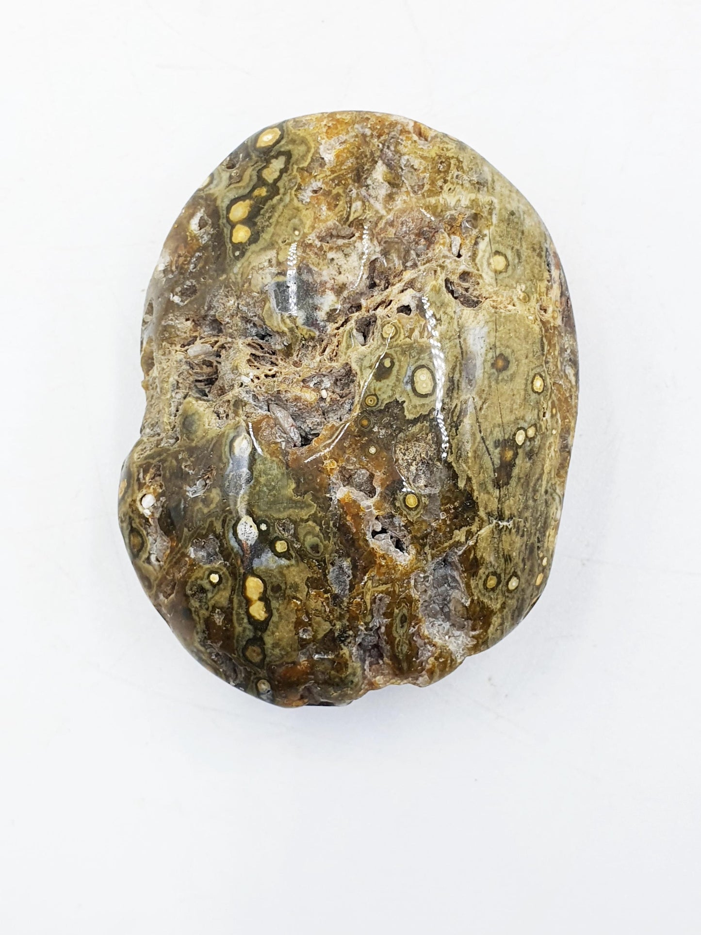 Ocean Jasper Palm