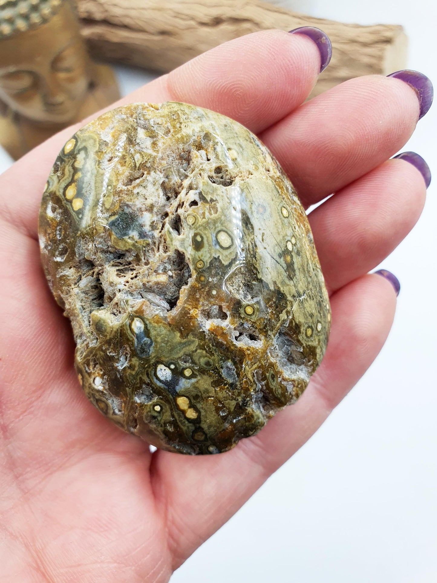 Ocean Jasper Palm