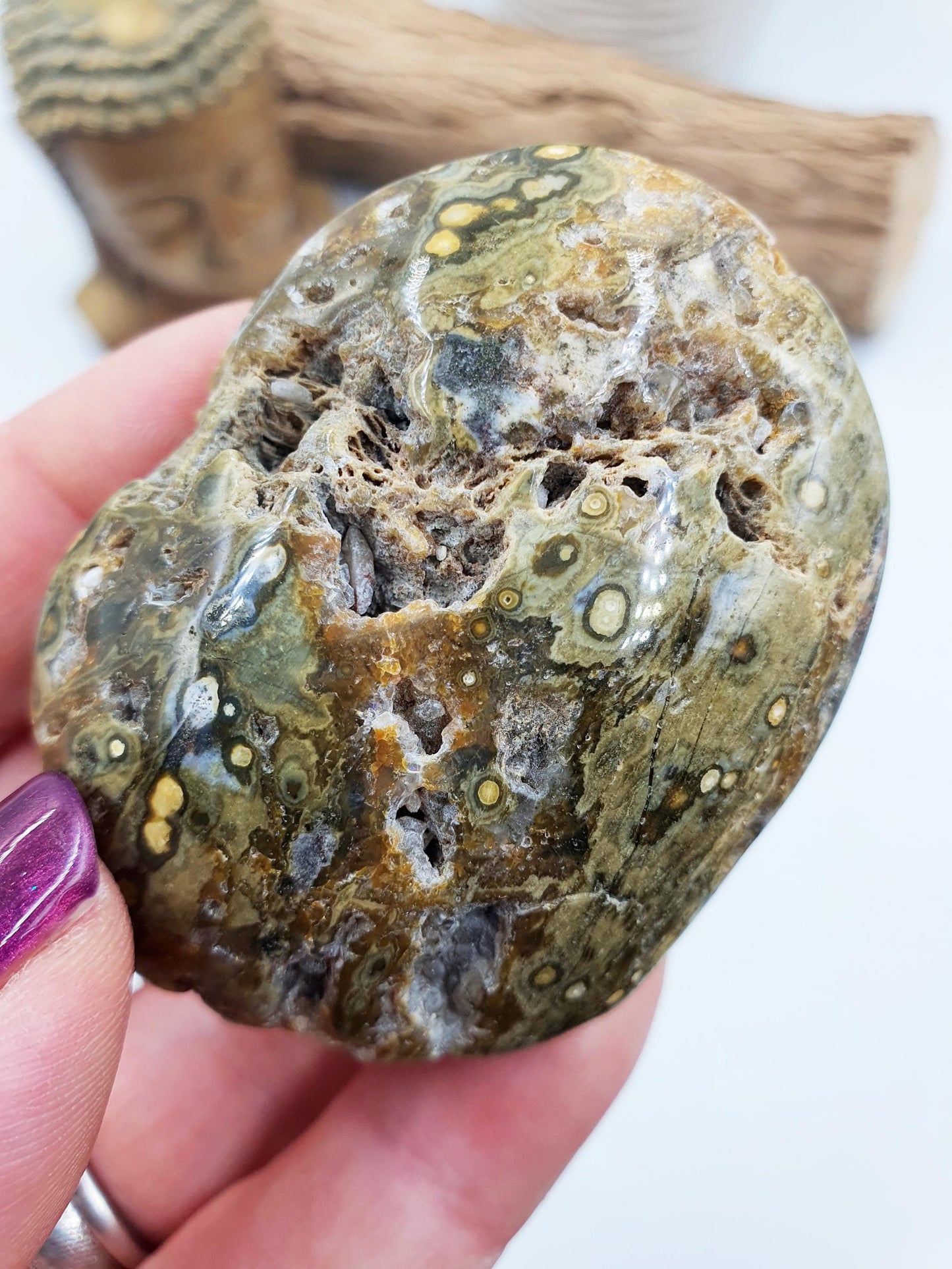 Ocean Jasper Palm