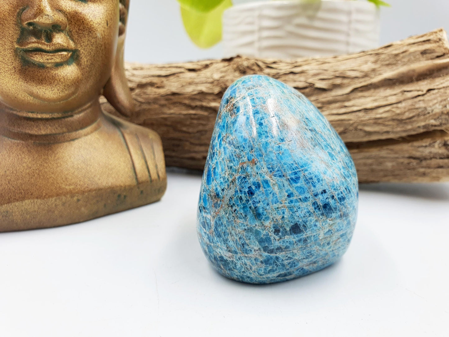 Blue Apatite Freeform