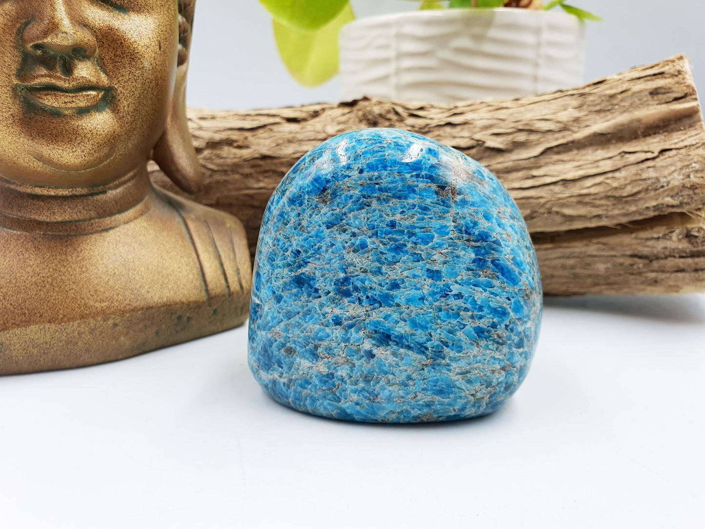Blue Apatite Freeform