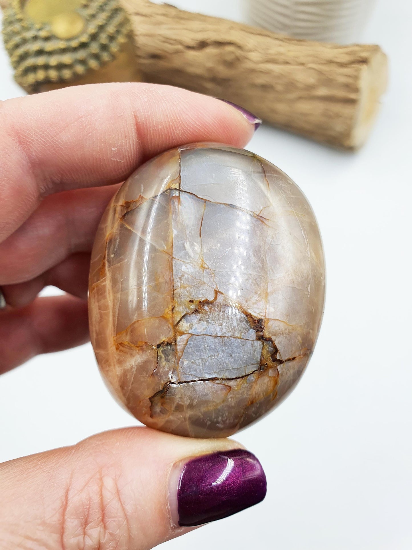 Flashy Moonstone Palm