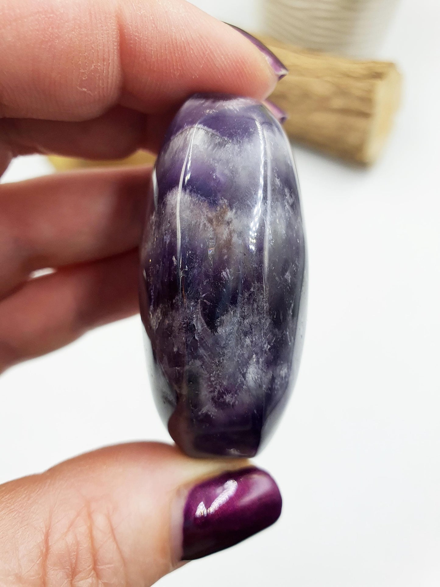 Dream Amethyst Palm