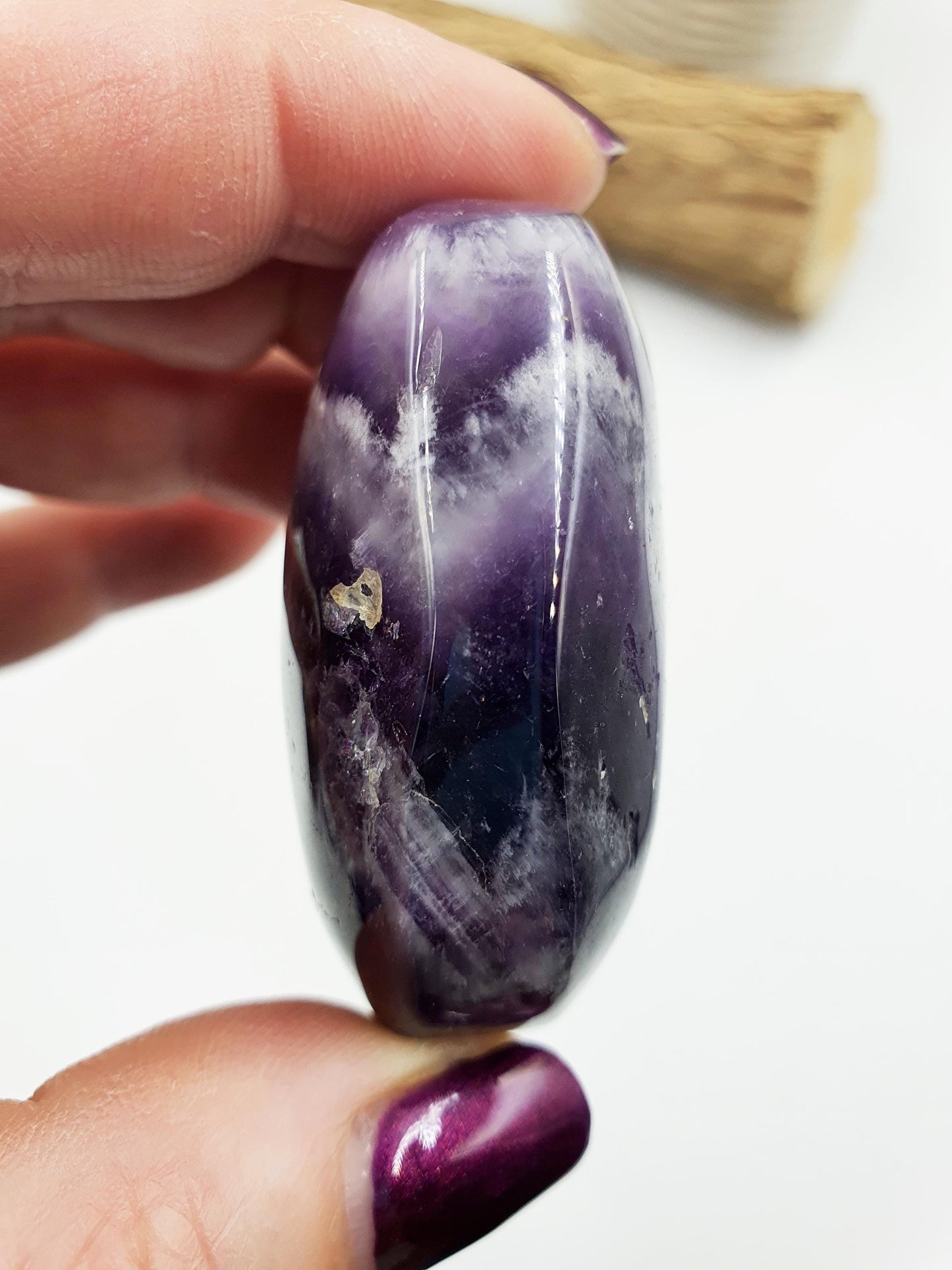Dream Amethyst Palm