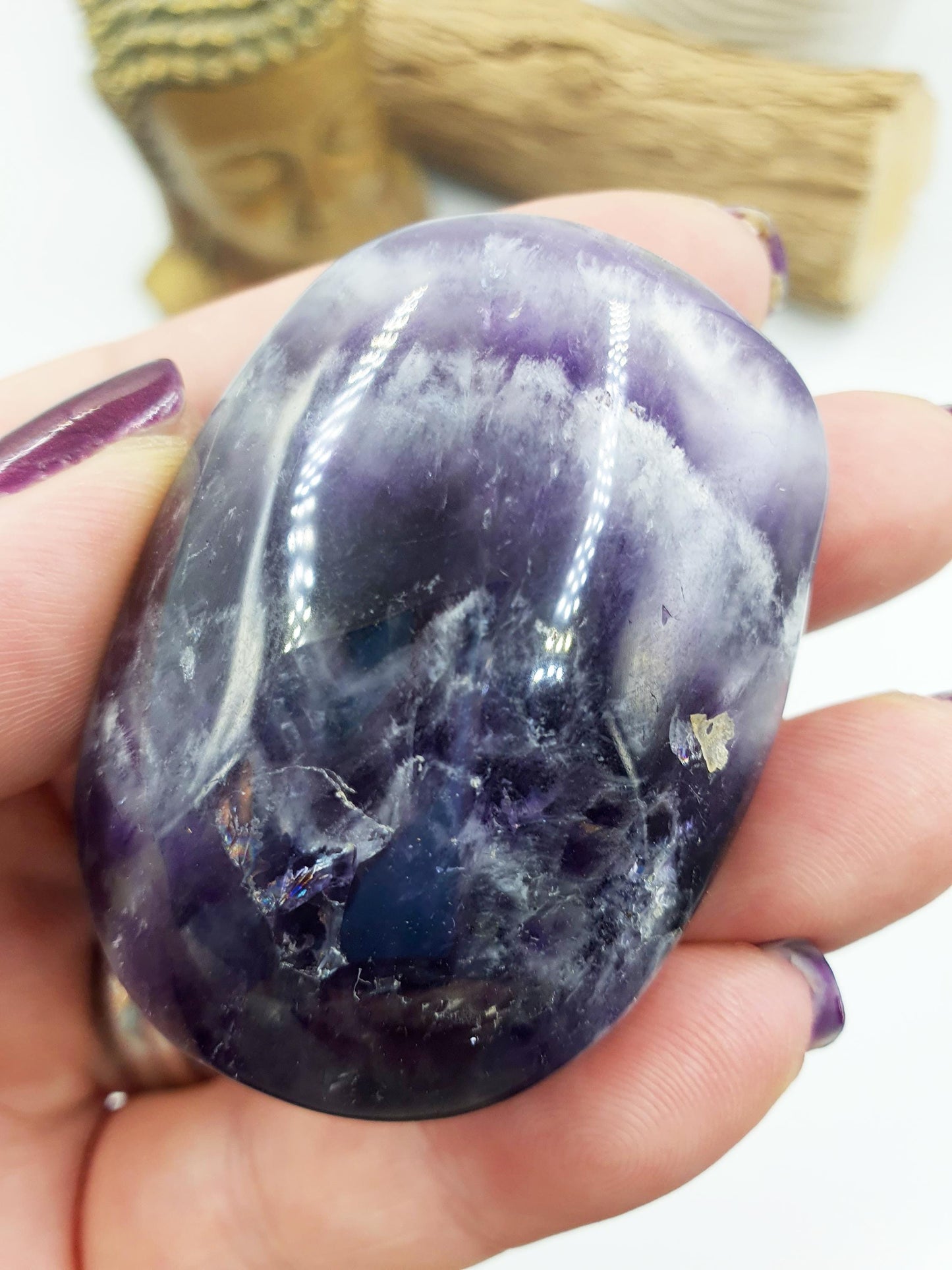 Dream Amethyst Palm